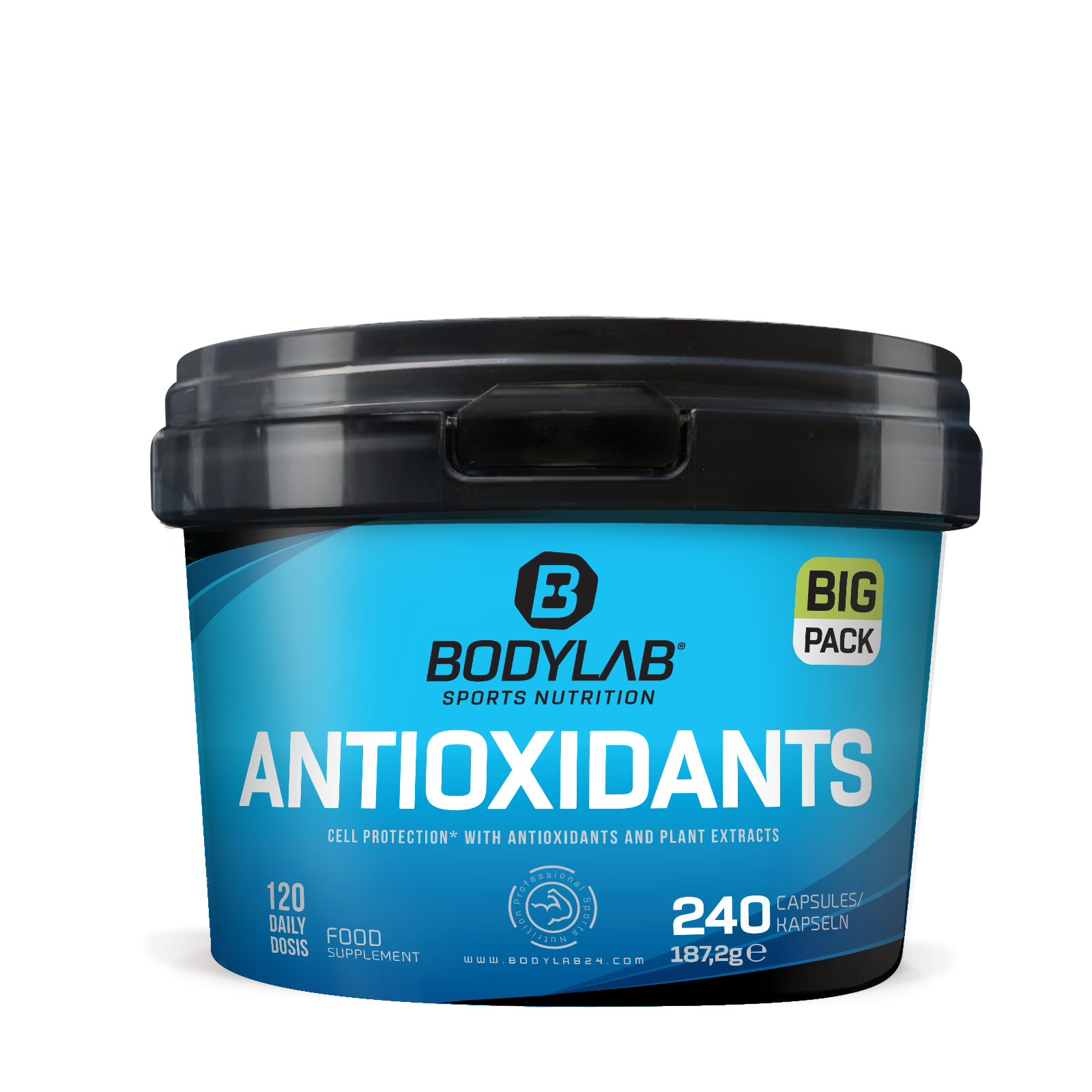 BIG Pack Antioxidants (240 Kapseln)