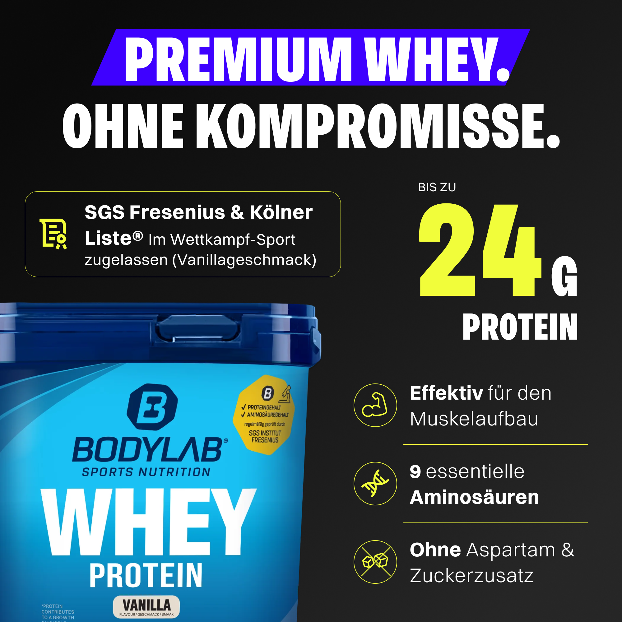 Whey Protein - SALE (1000g)