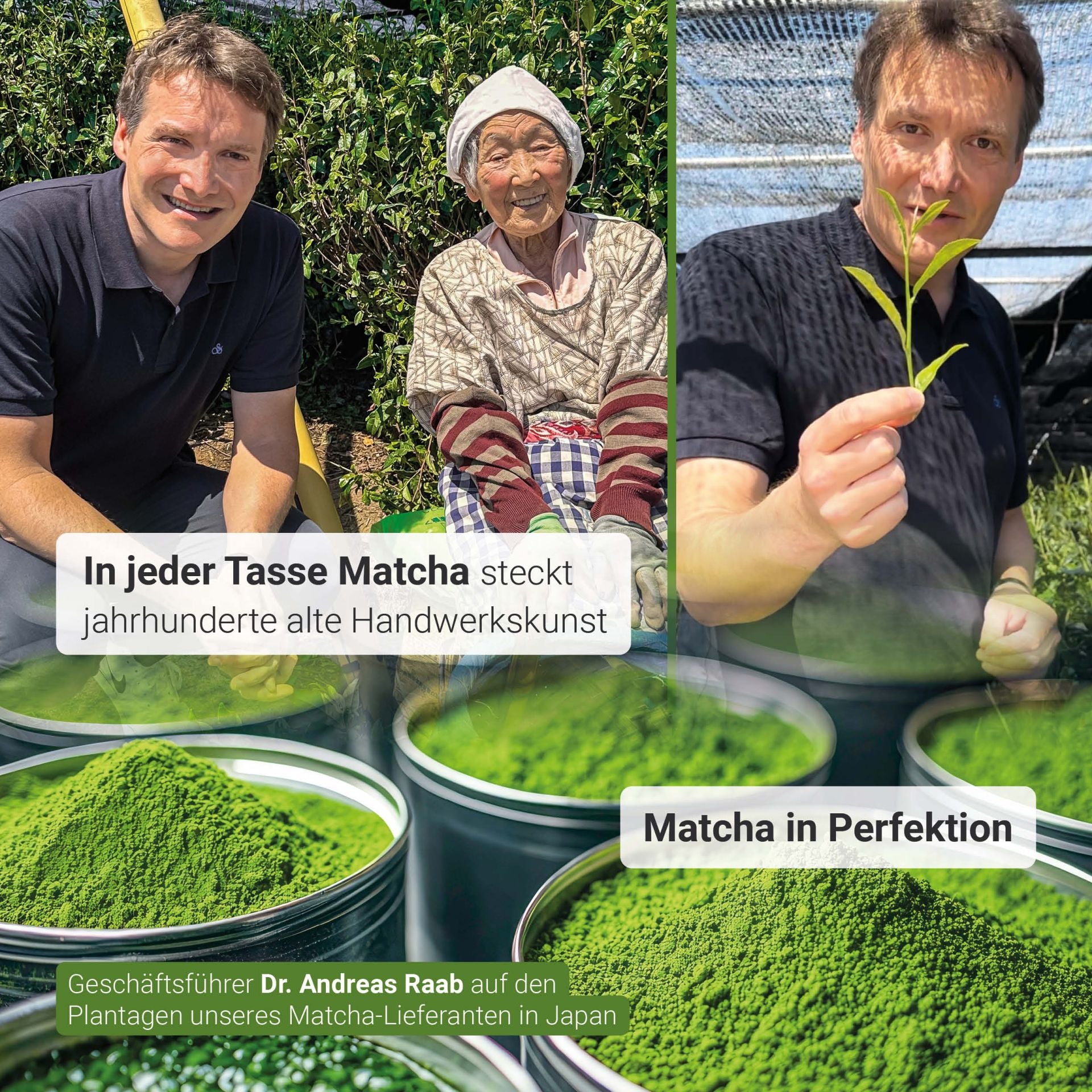 Bio Matcha Premium Pulver (30g)