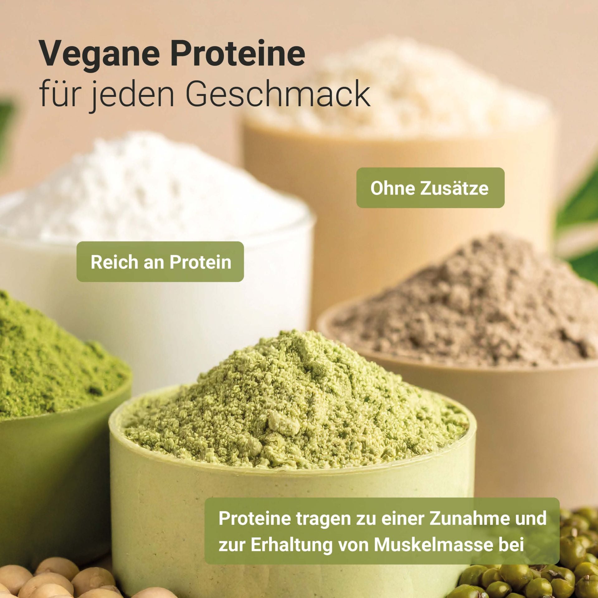 Bio Lupinen Protein Pulver (500g)