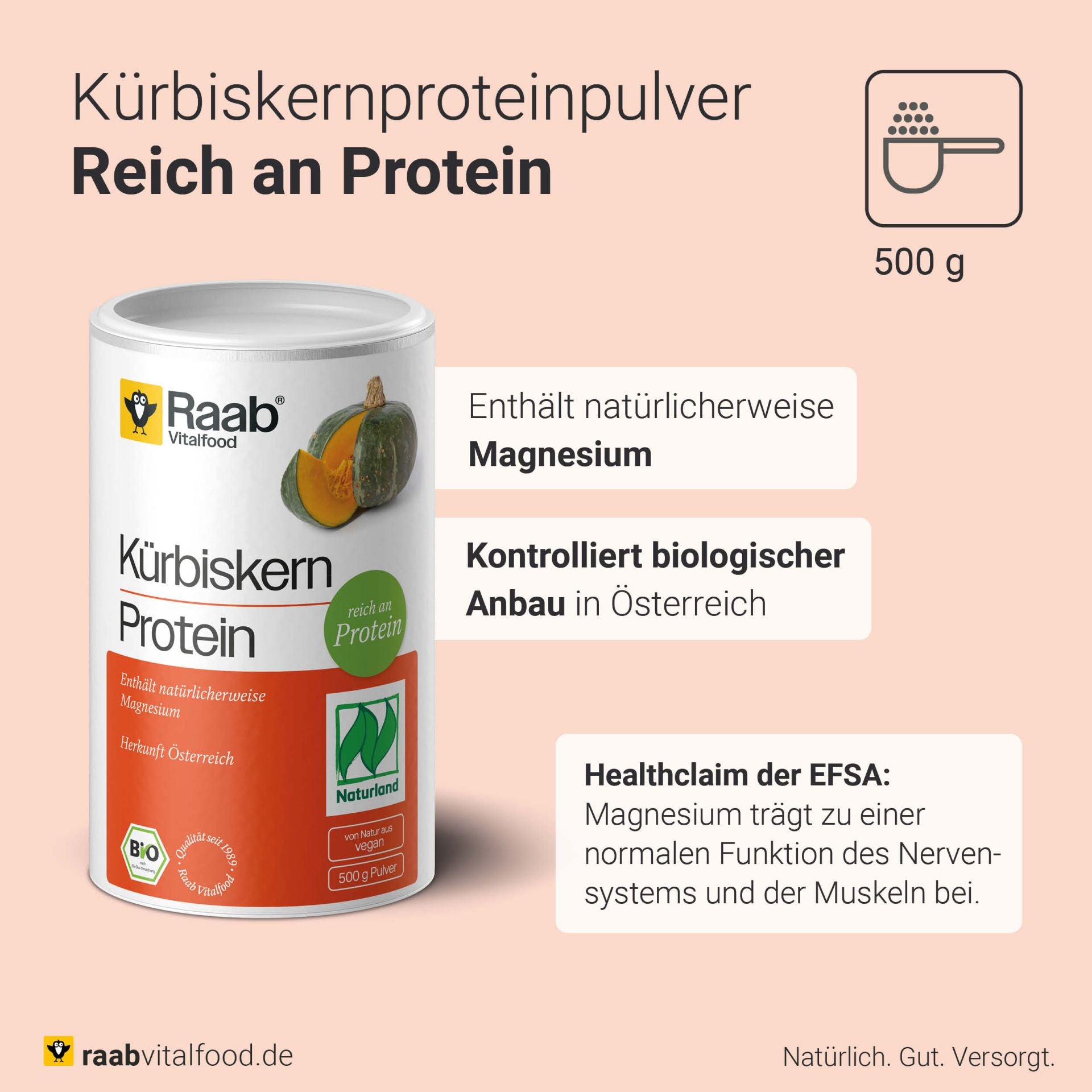 Bio Kürbiskern Protein (500g)