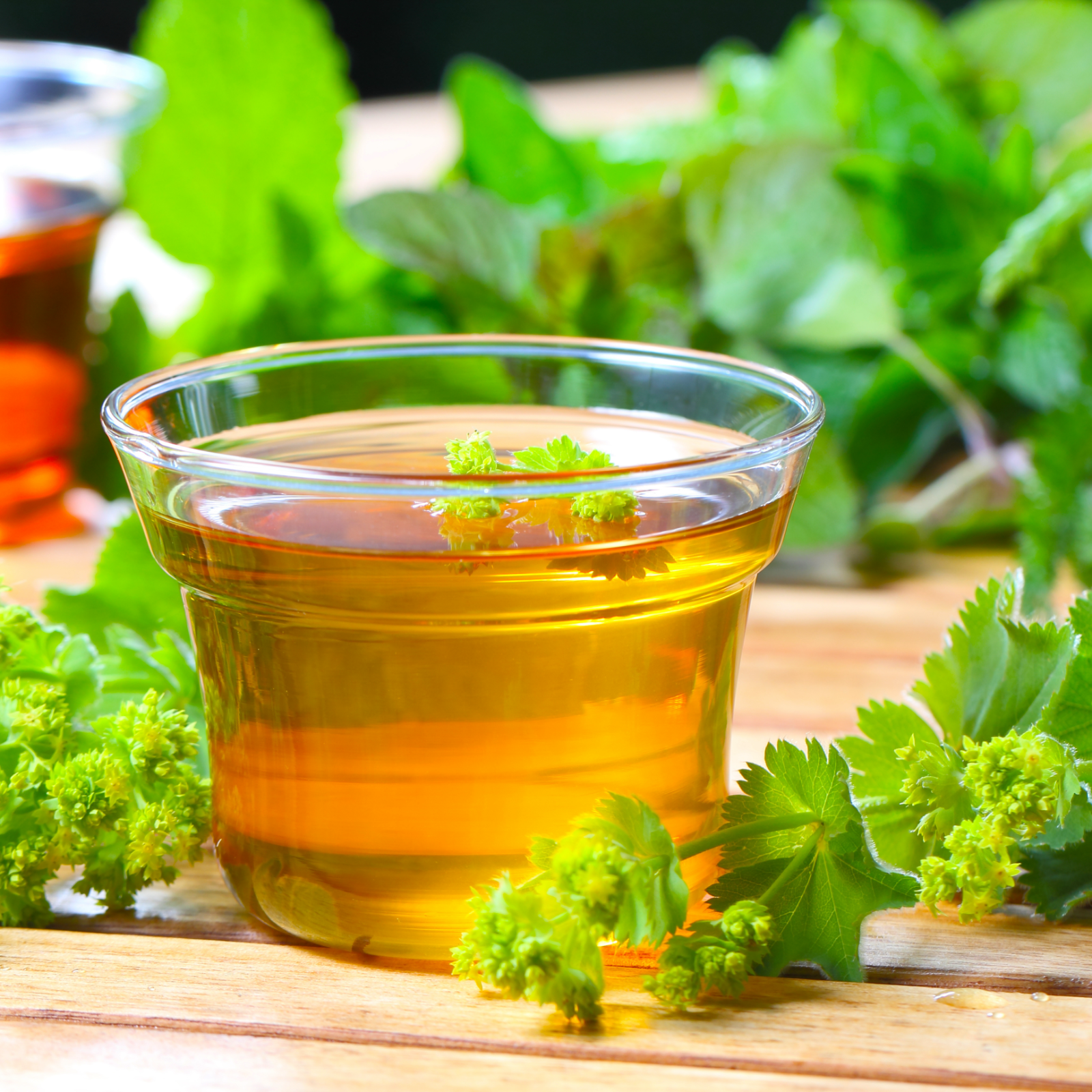 Frauenmantelkraut geschnitten Bio (250g)