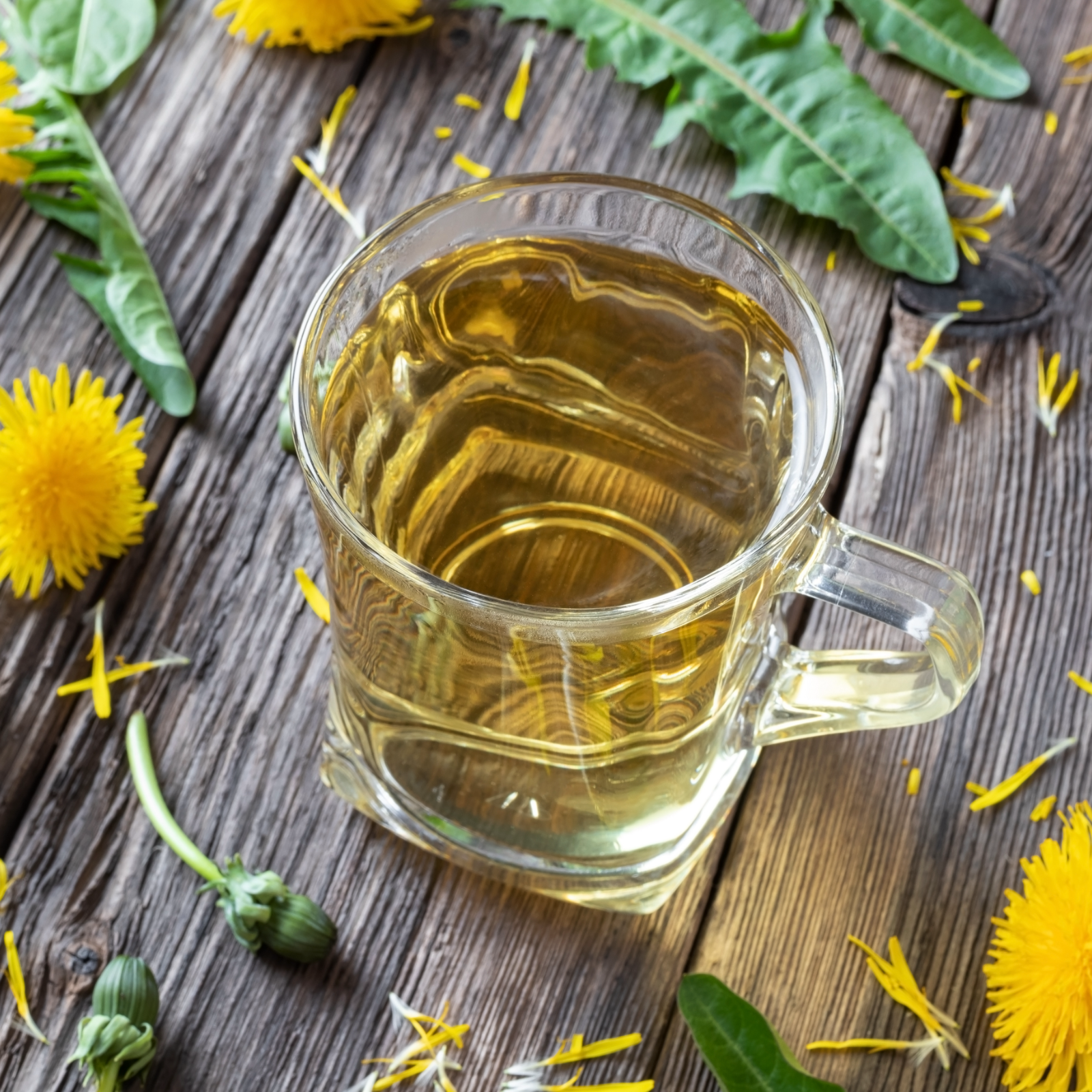 Löwenzahnblätter geschnitten Bio (250g)