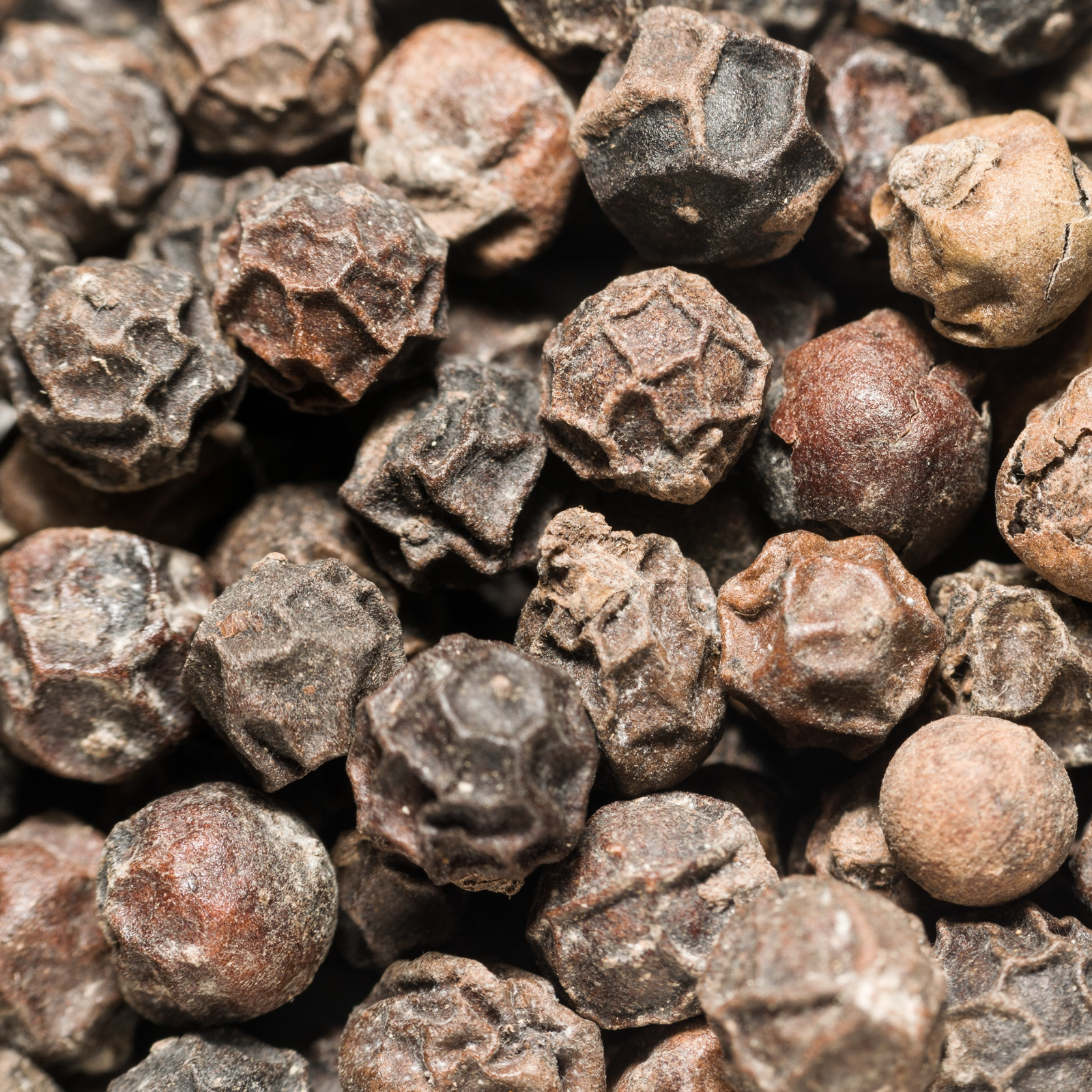 Pfeffer schwarz ganz Bio (250g)