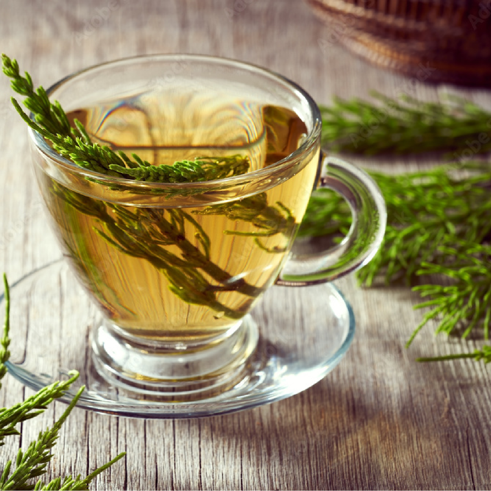 Schachtelhalmkraut geschnitten (1000g)