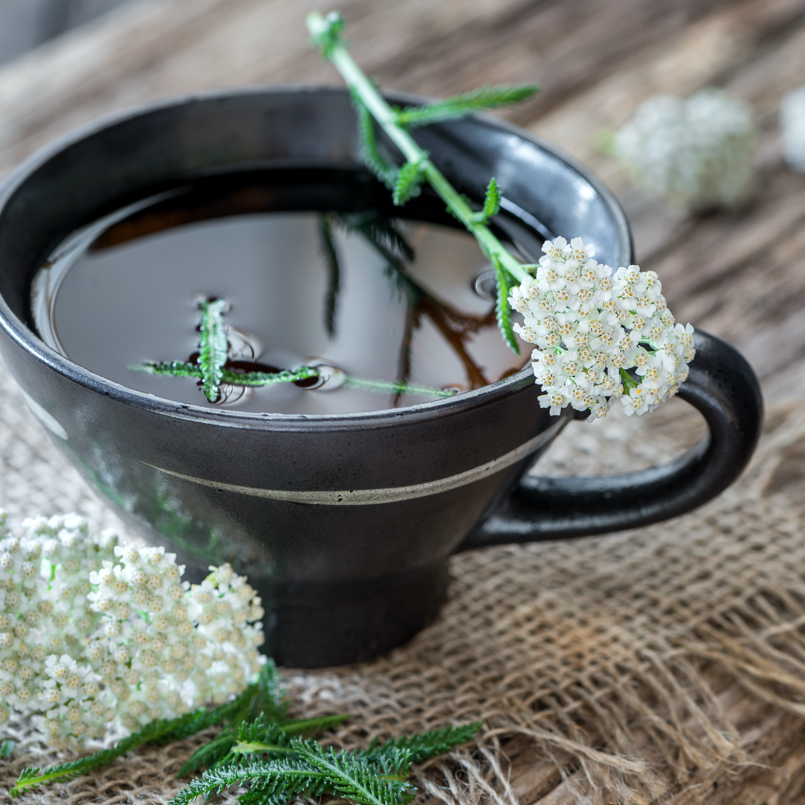 Schafgarbenkraut geschnitten Bio (100g)