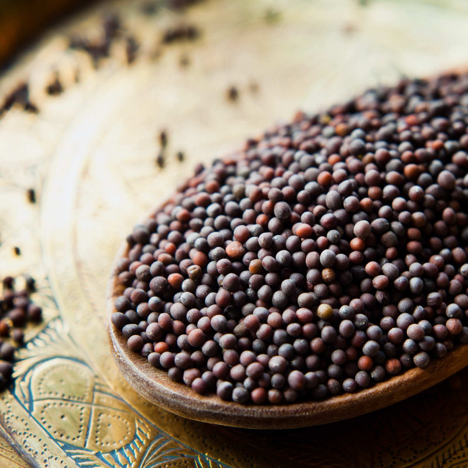 Senfsaat braun ganz Bio (250g)