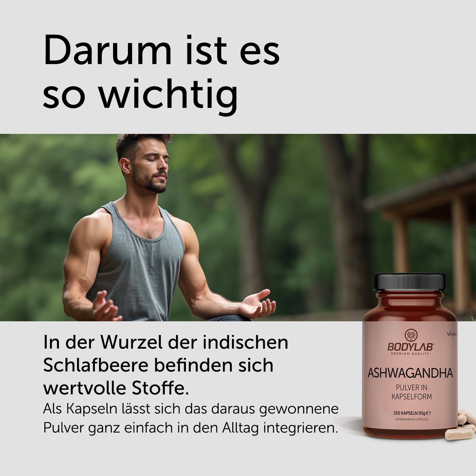 Ashwagandha Pulver in Kapselform (150 Kapseln)