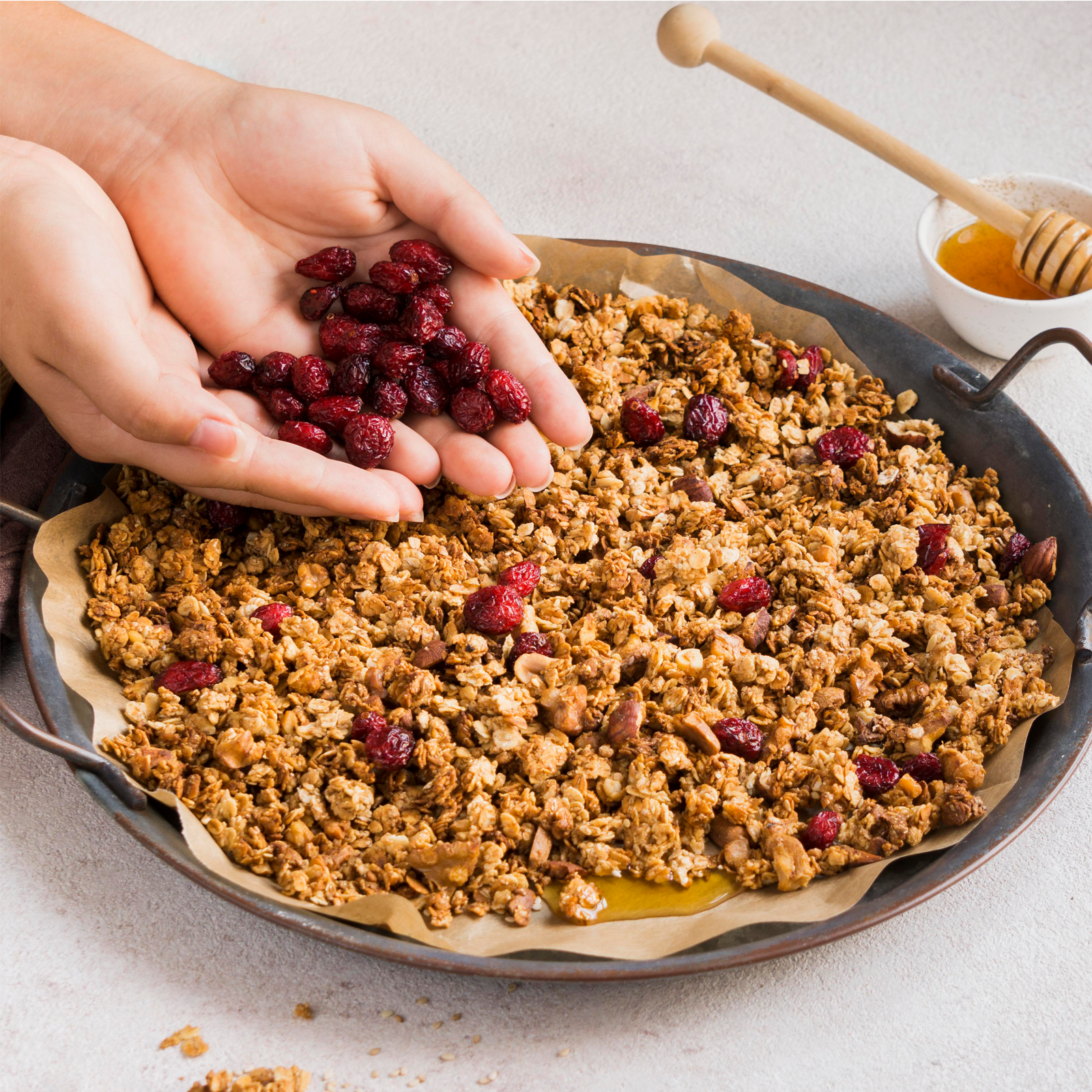 Cranberries getrocknet & gesüßt (500g)