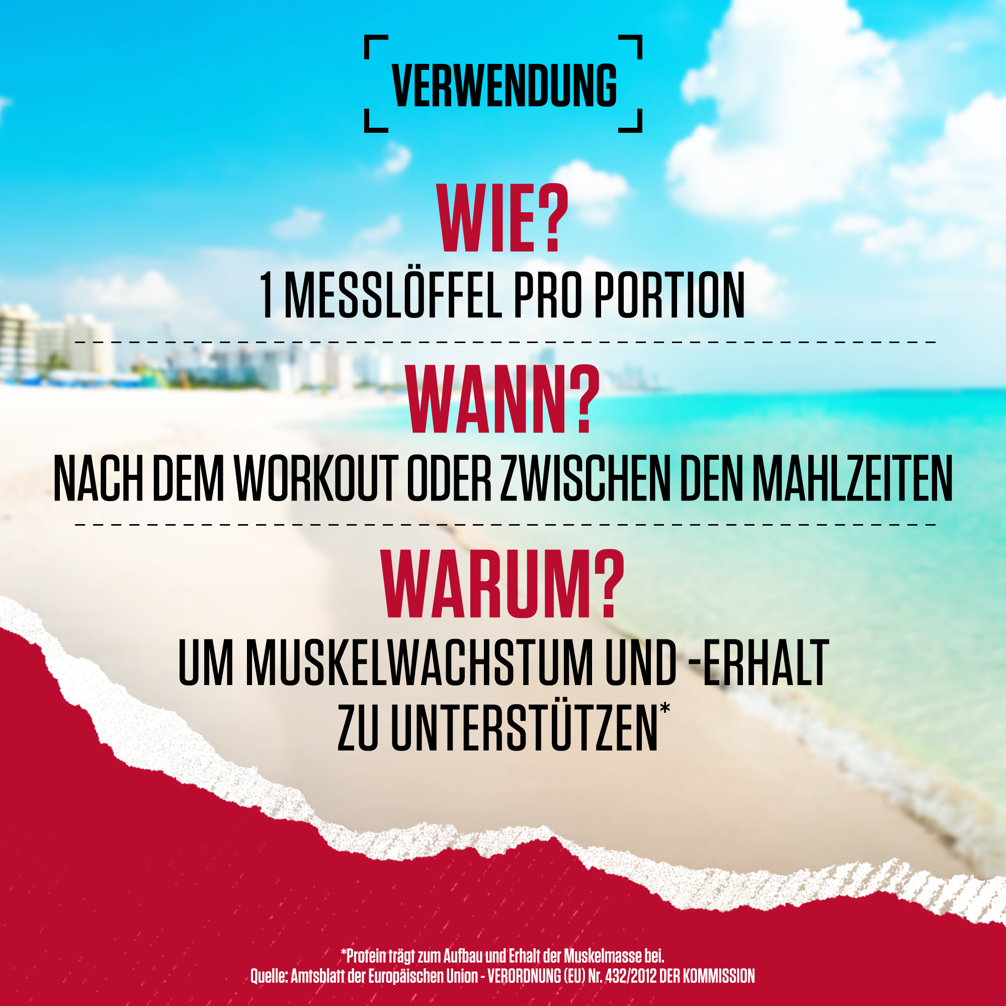 True Mass All In One Weight Gainer (4200g)