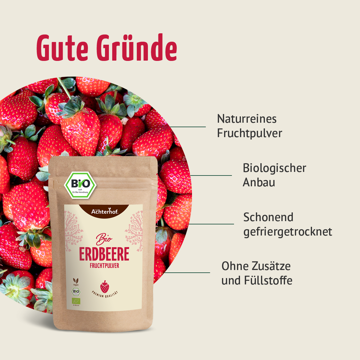 Bio Erdbeere Fruchtpulver (100g)
