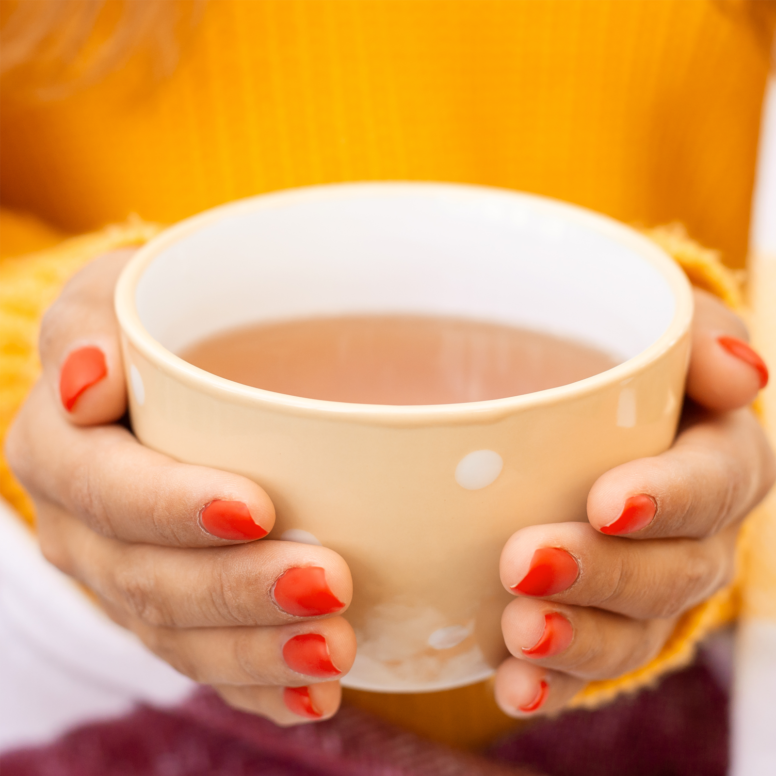 Goldrutenkraut geschnitten (100g)