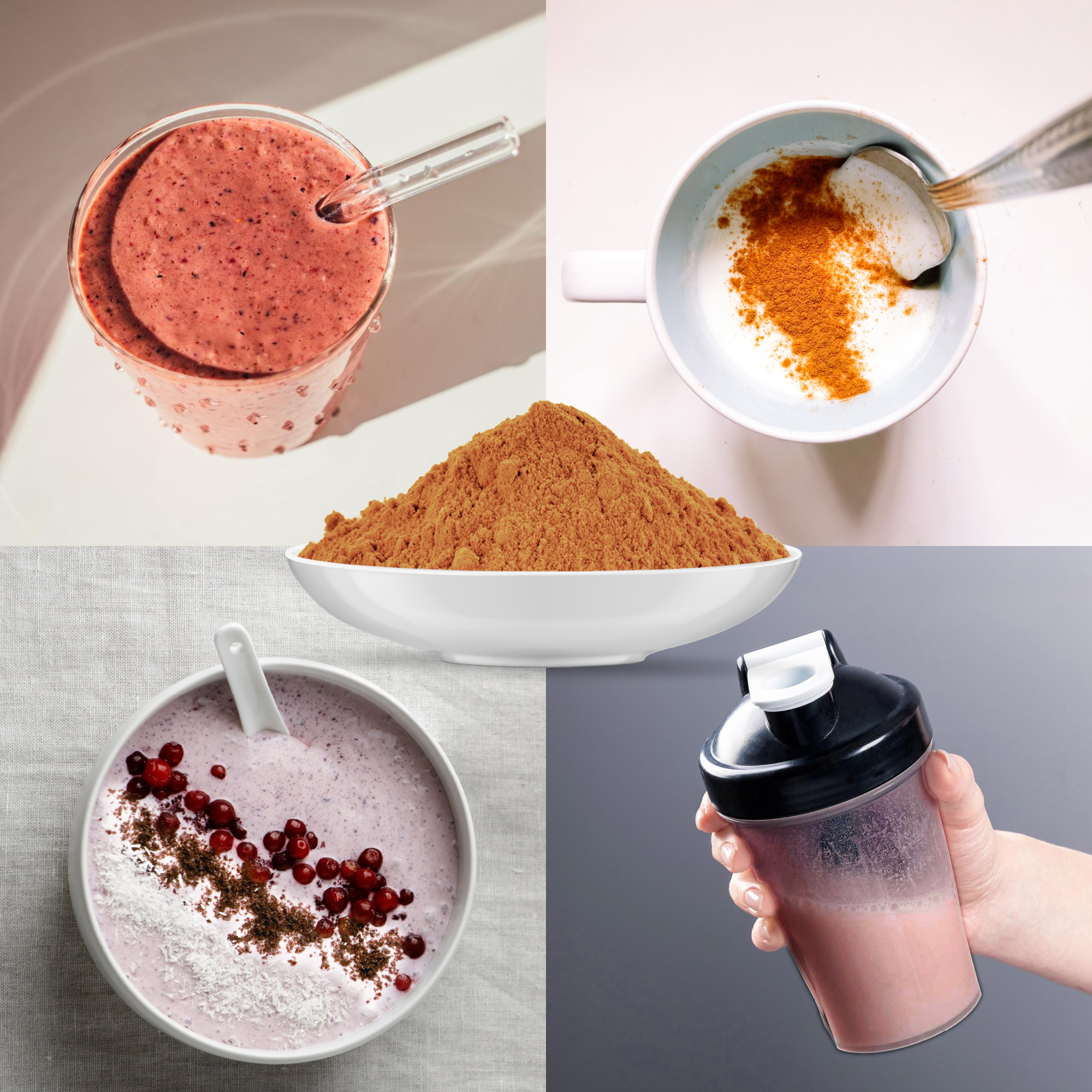 Bio Hagebutten Pulver (1000g)