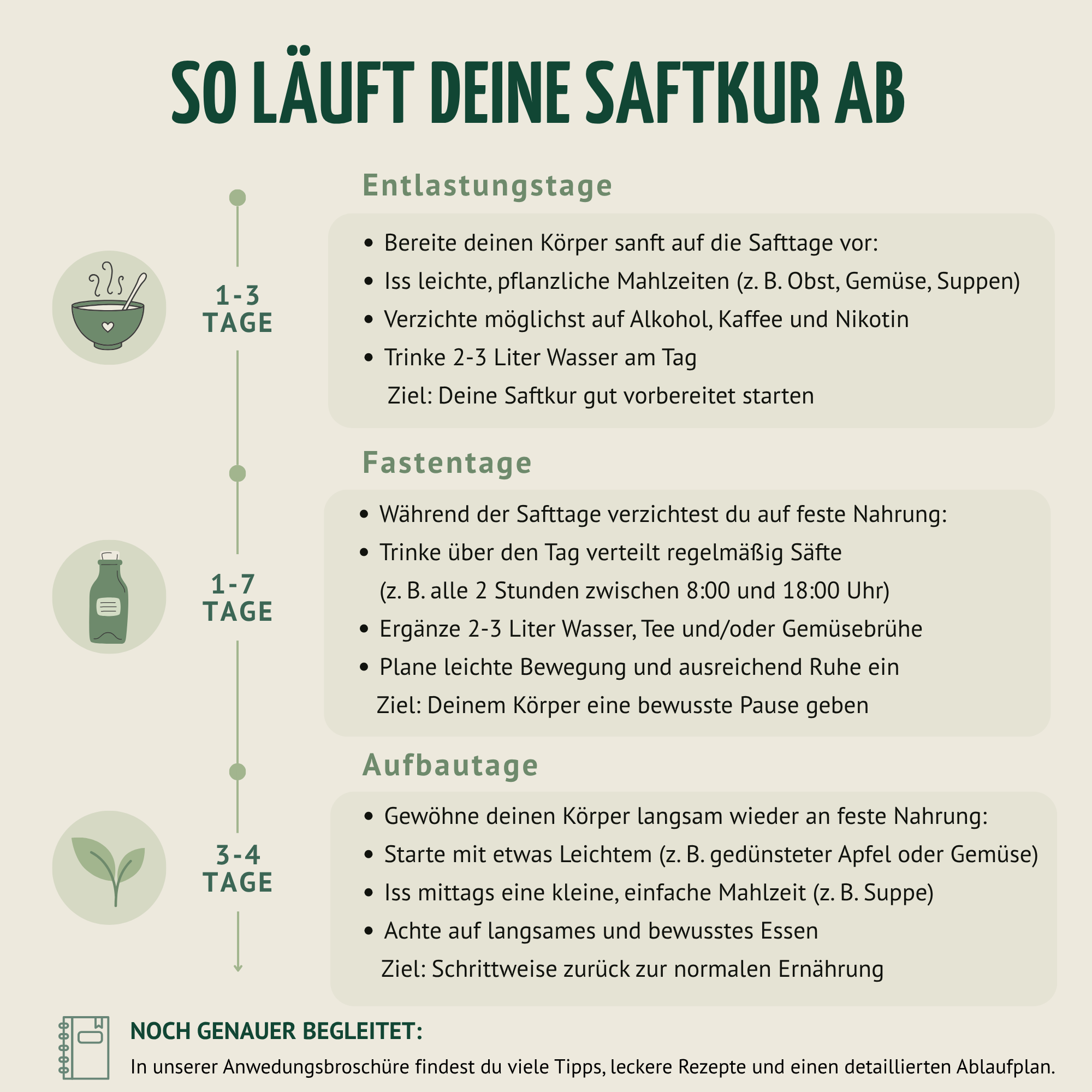 Kräuterwunder Bio Fastenkur 5 Tage (30 Flaschen)