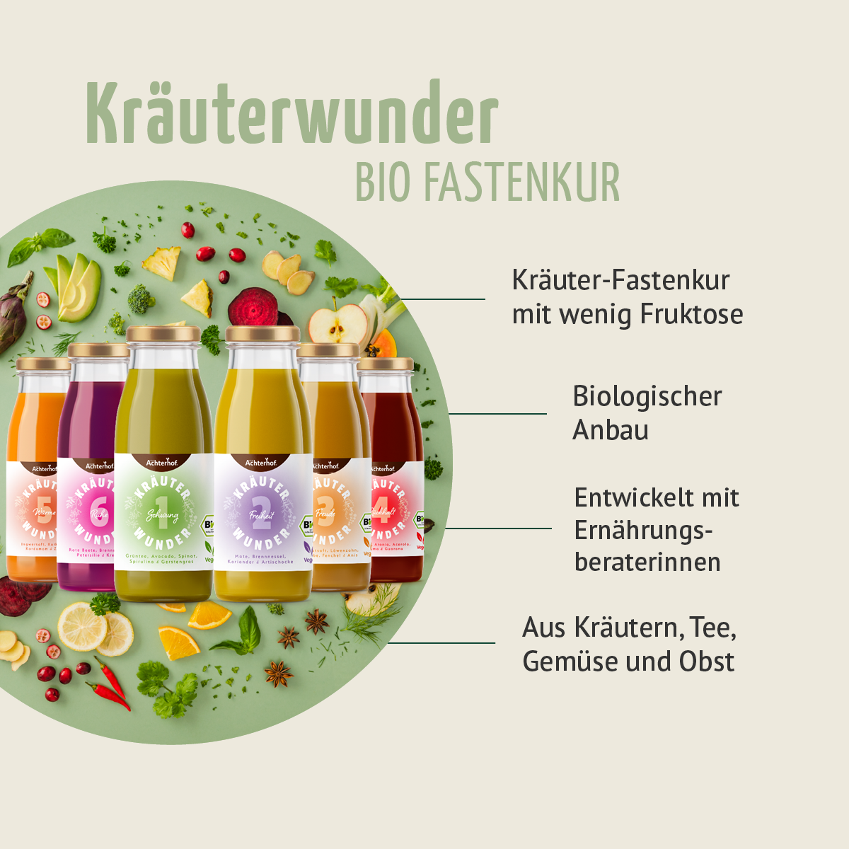 Kräuterwunder Bio Fastenkur 1 Tag (6 Flaschen)