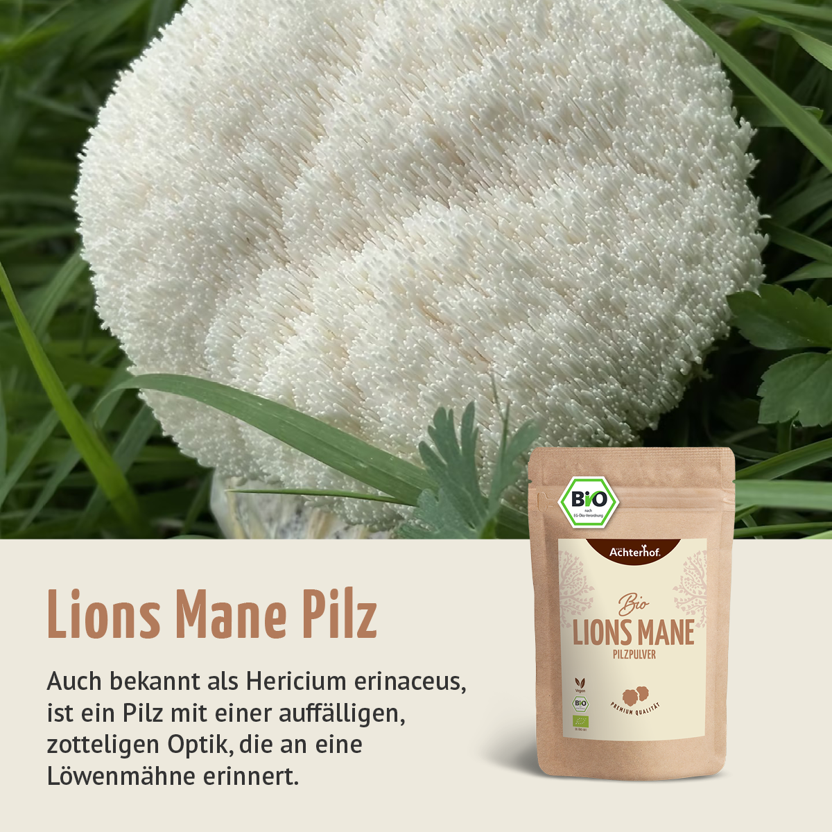 Bio Lions Mane Pilzpulver (250g)
