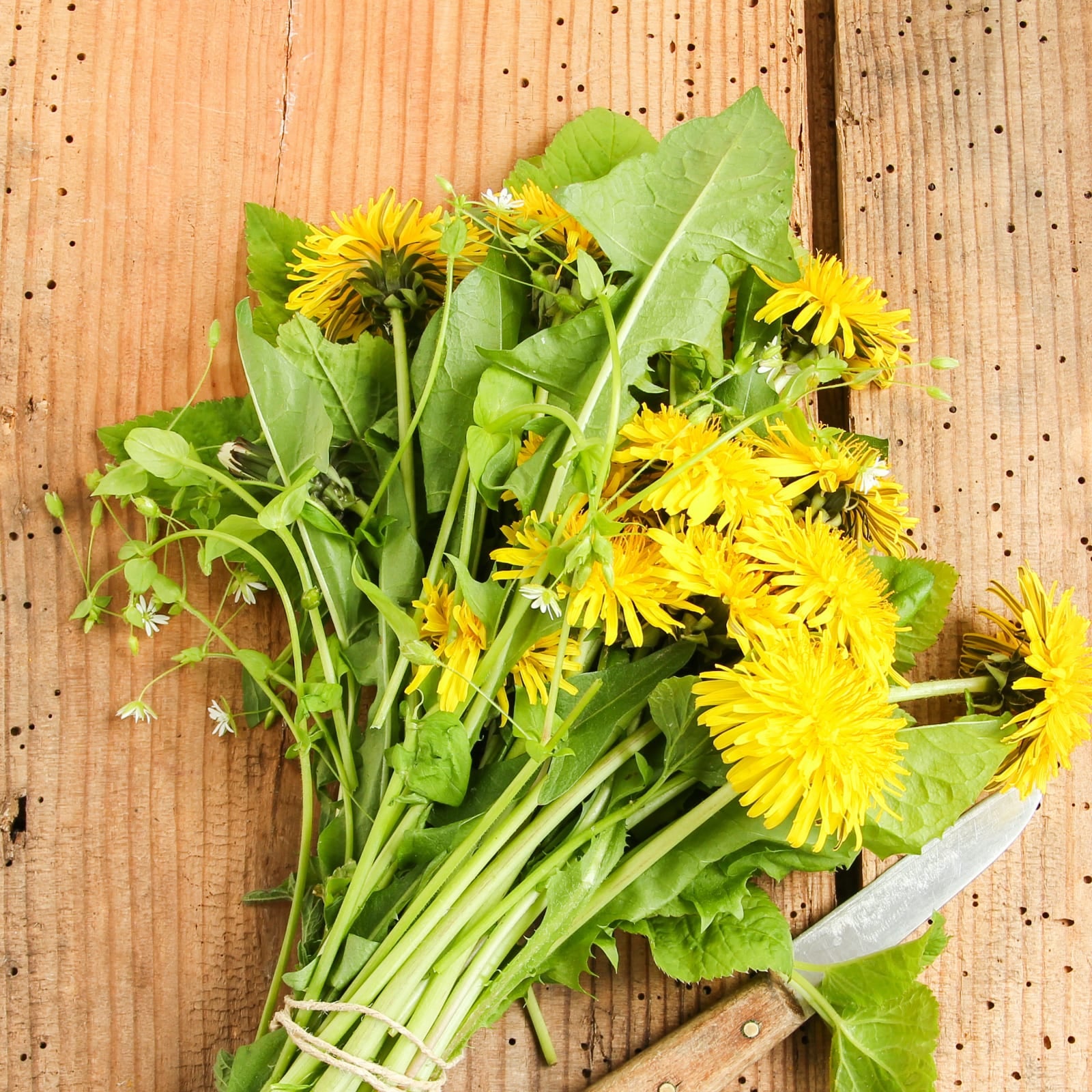 Löwenzahnwurzel Pulver Bio (250g)