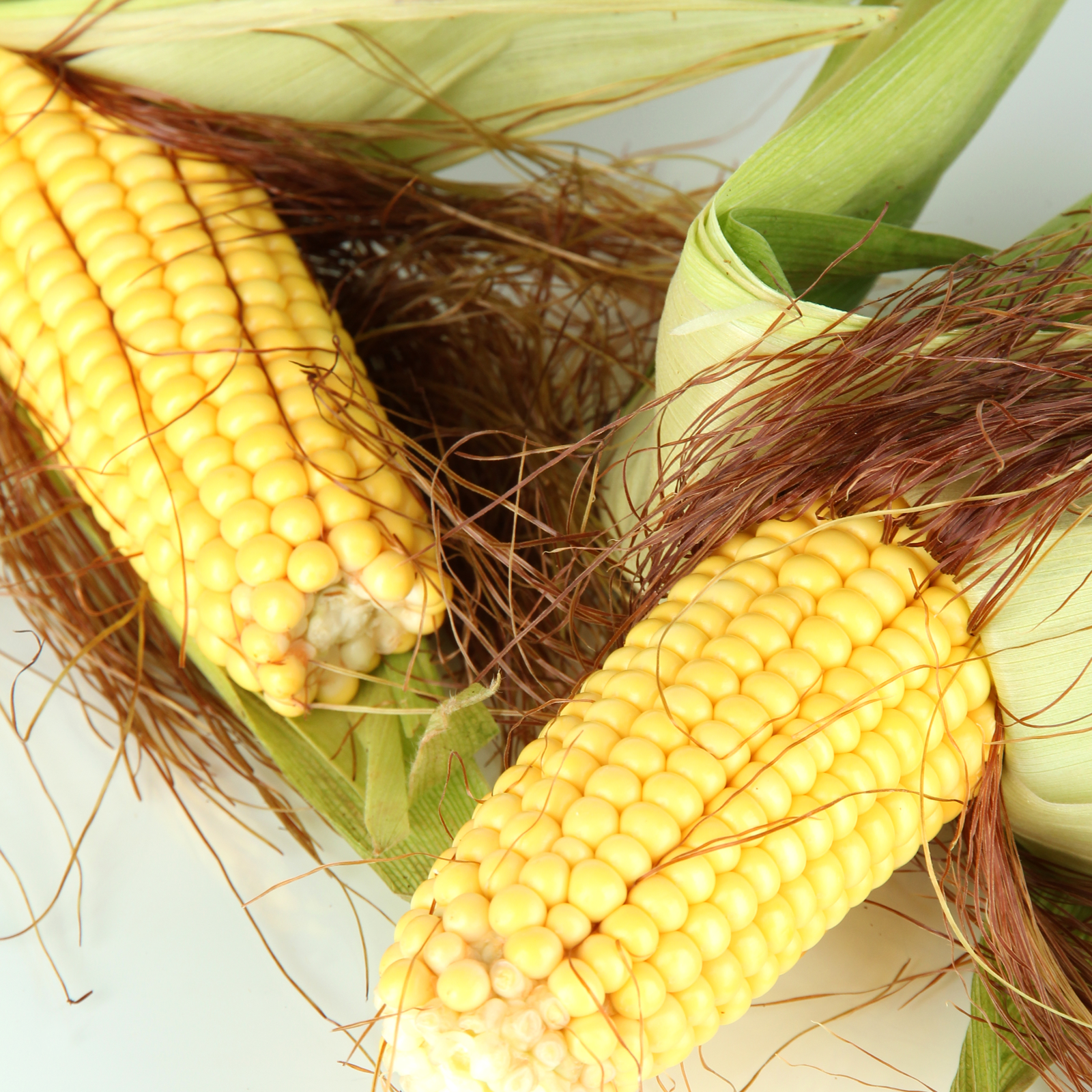 Maisbart geschnitten (250g)