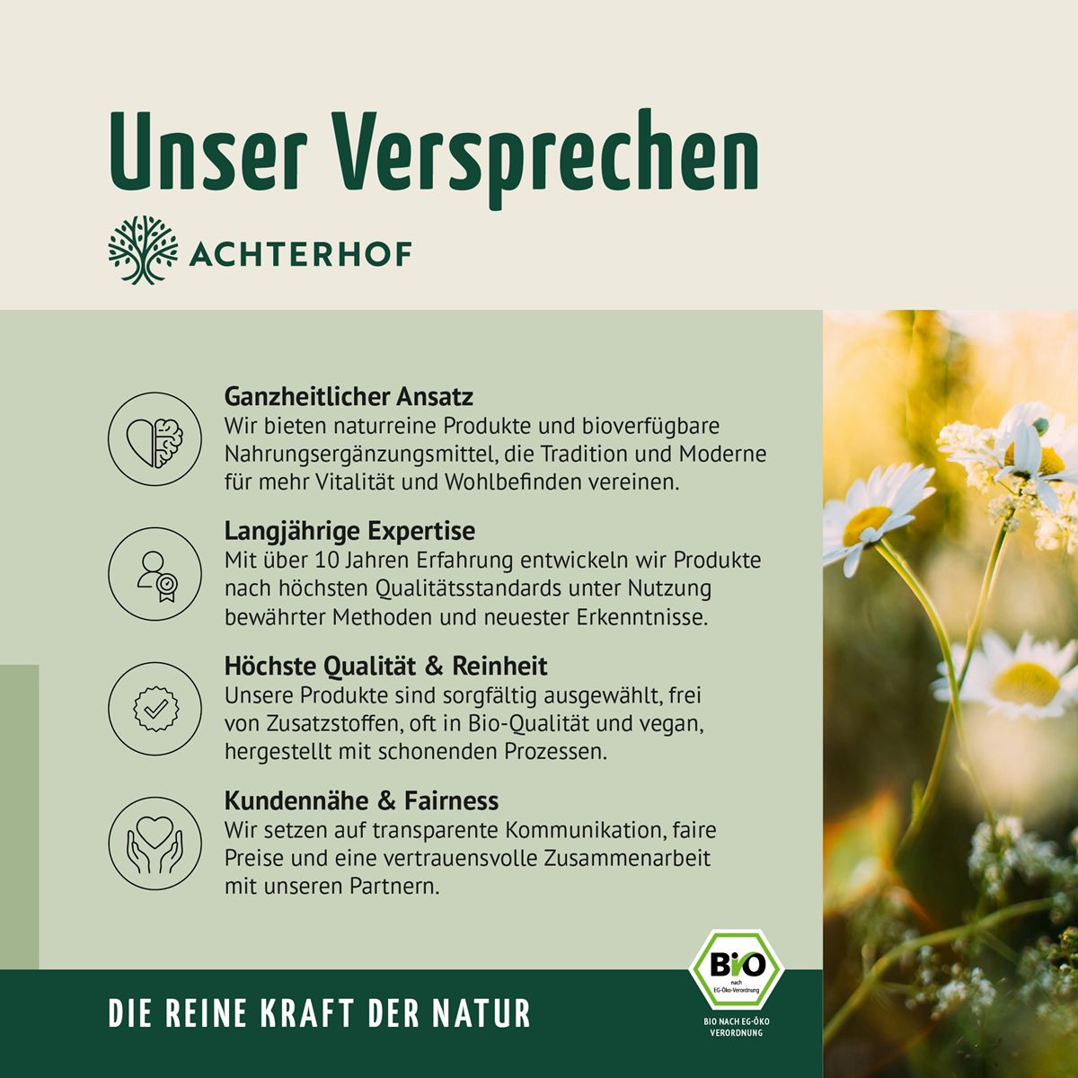 Bio Matcha Grüntee Pulver (250g)