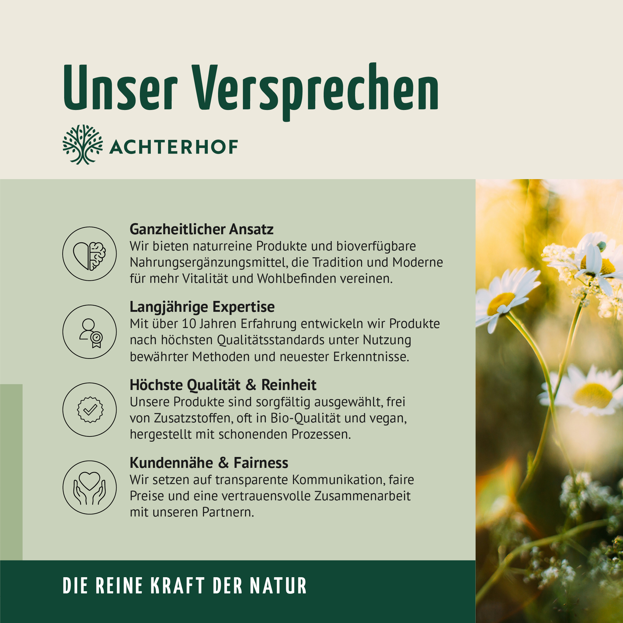 Mikronährstoff Shot (7 x 60ml)