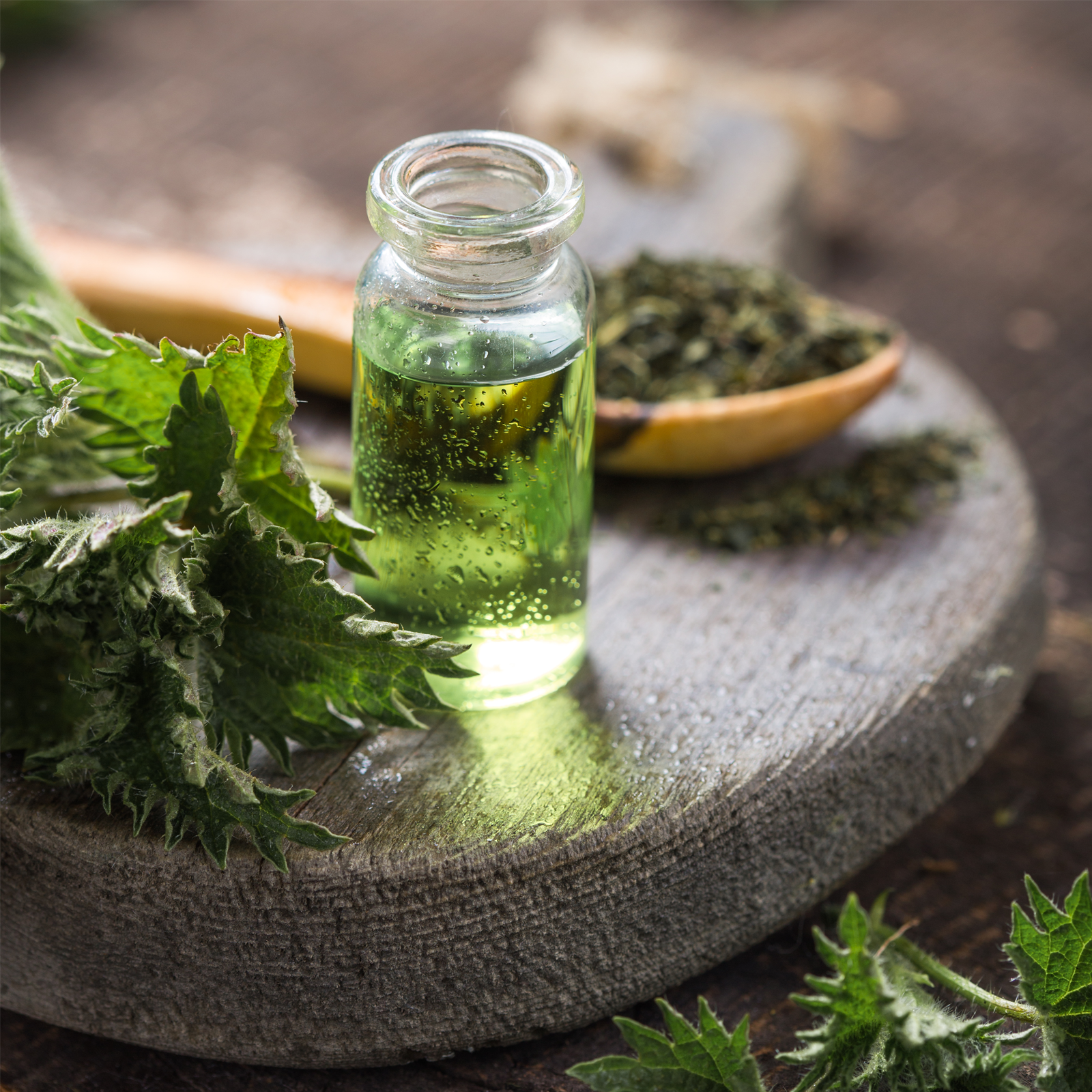 Brennnesselwurzel geschnitten (100g)