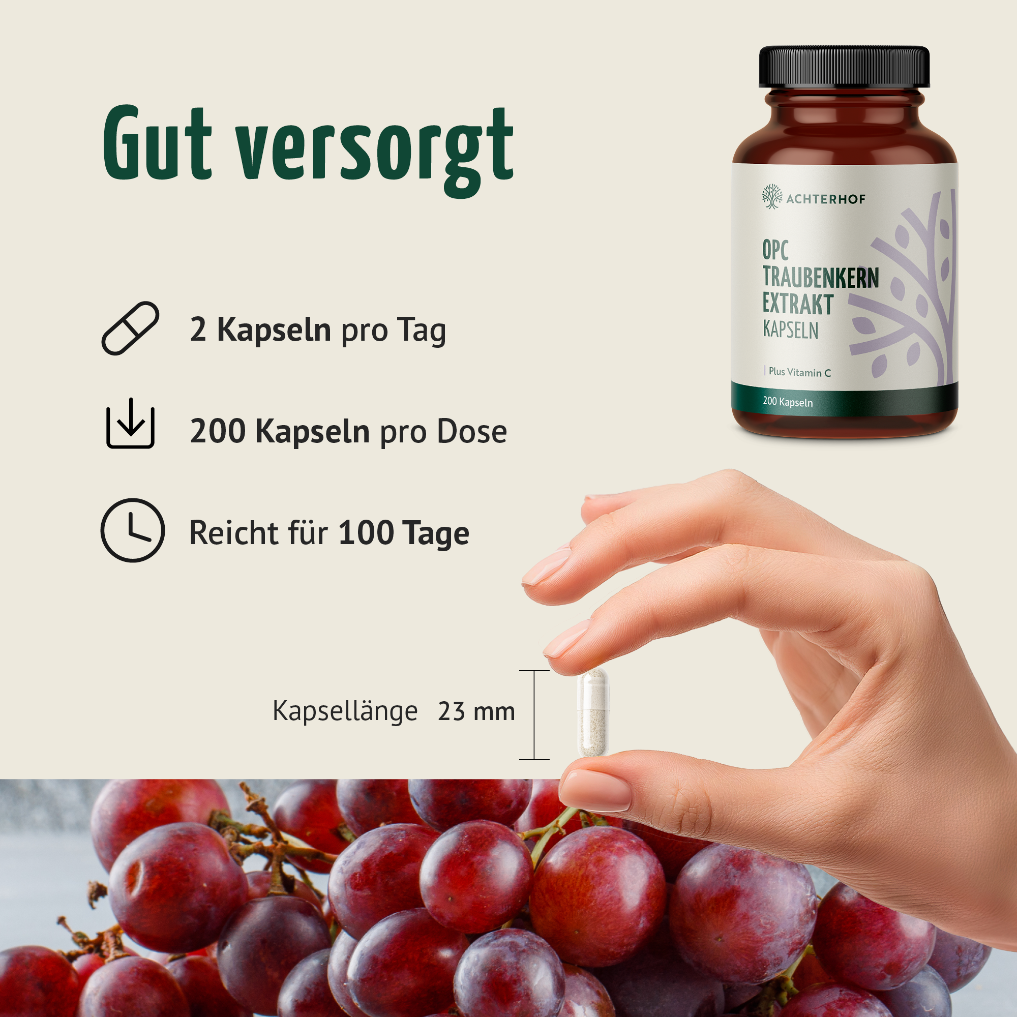 OPC Traubenkernextrakt + Vitamin C Kapseln (200 Kapseln)