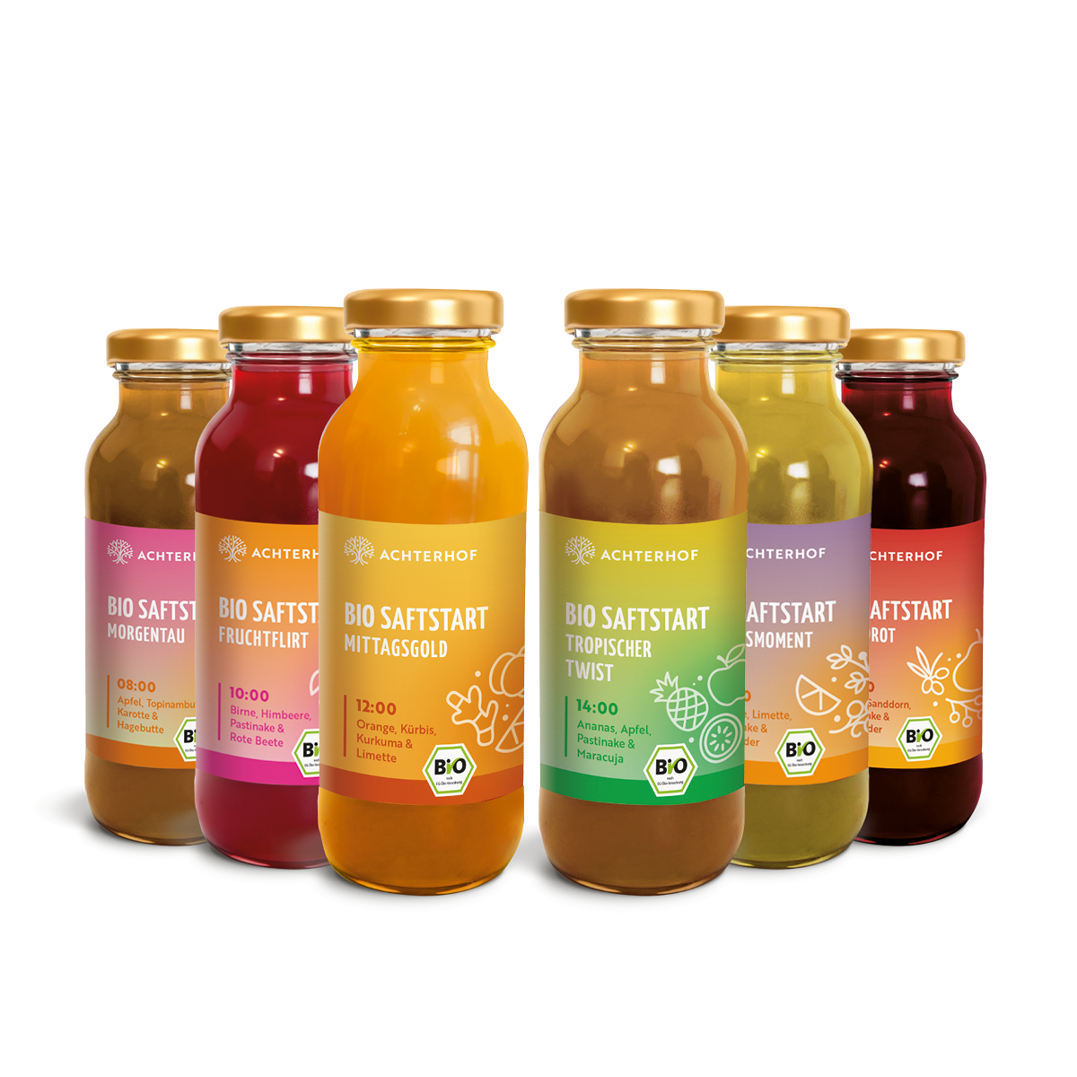 Saftstart Bio Fastenkur 1-7 Tage (6 Flaschen pro Tag)