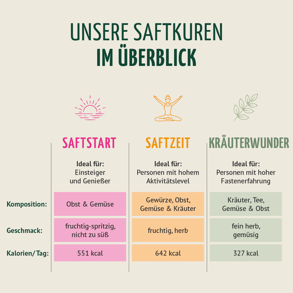 Saftstart Bio Fastenkur 1-7 Tage (6 Flaschen pro Tag)