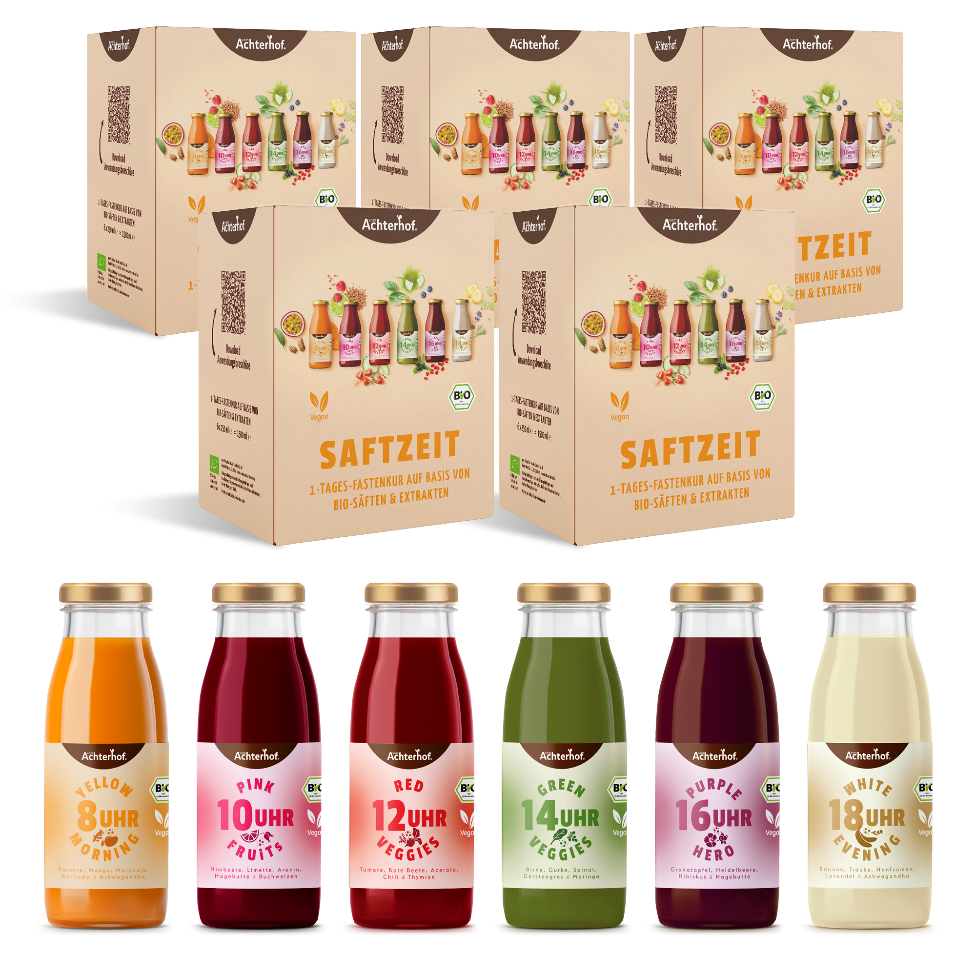 Saftzeit Bio Fastenkur 5 Tage (30 Flaschen)