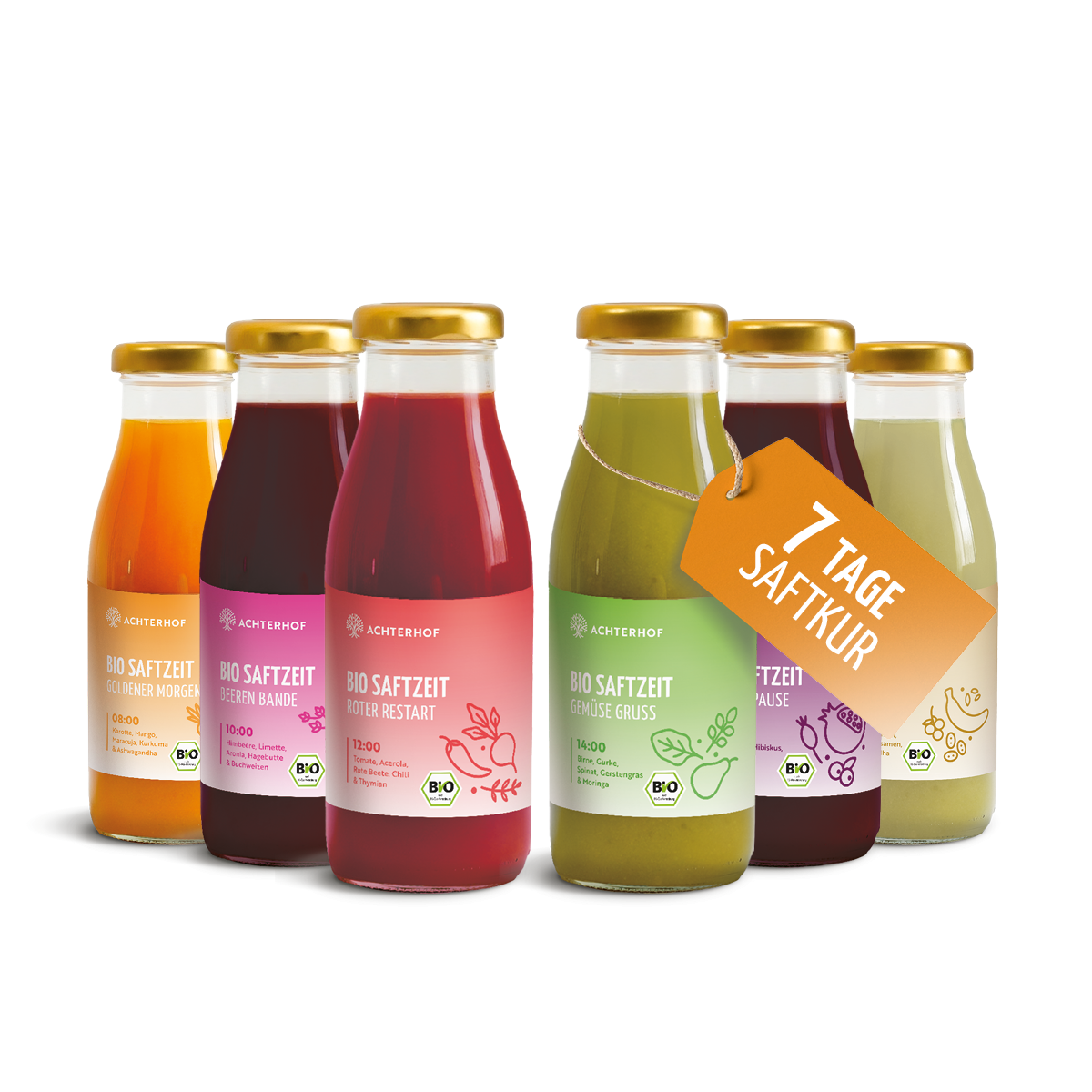 Saftzeit Bio Fastenkur 7 Tage (42 Flaschen)