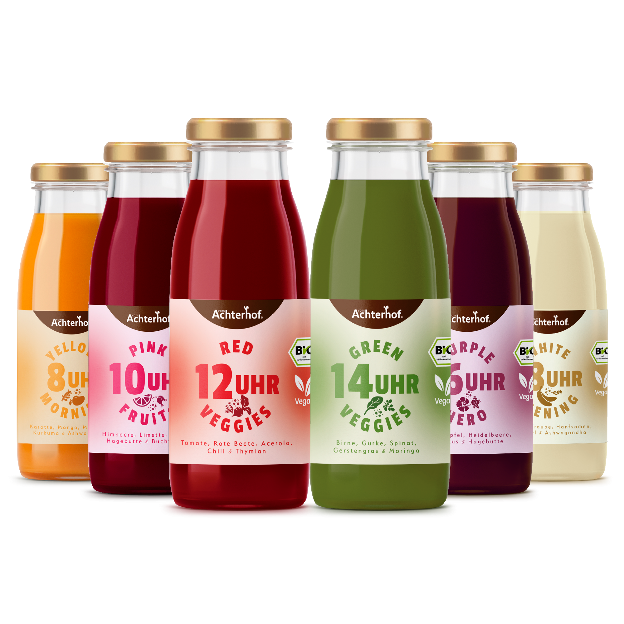 Saftzeit Bio Fastenkur 7 Tage (42 Flaschen)