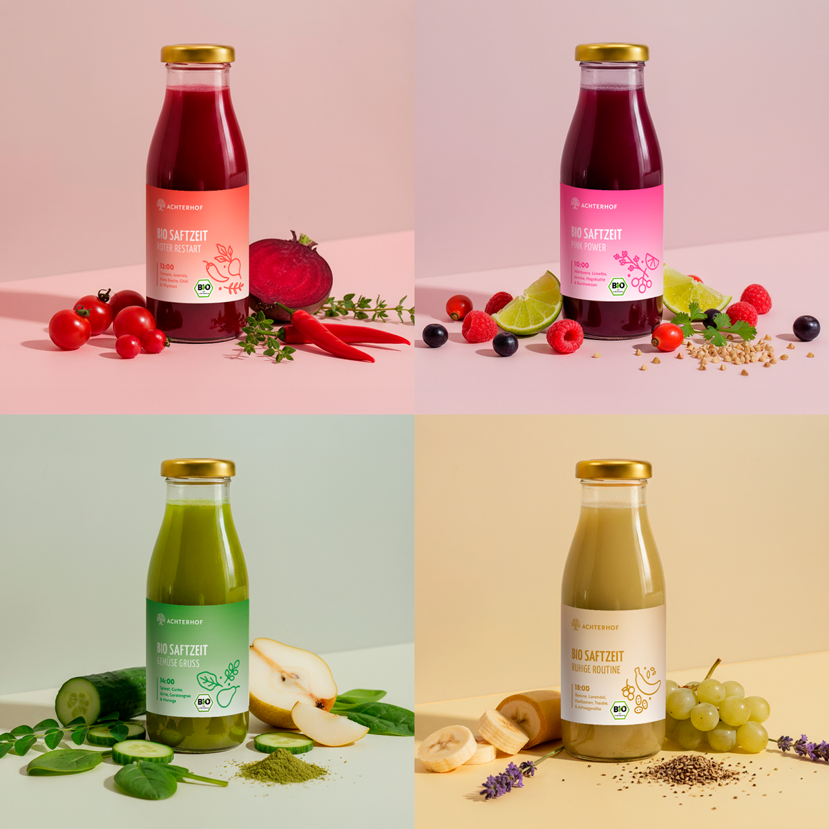 Saftzeit Bio Fastenkur 3 Tage (18 Flaschen)