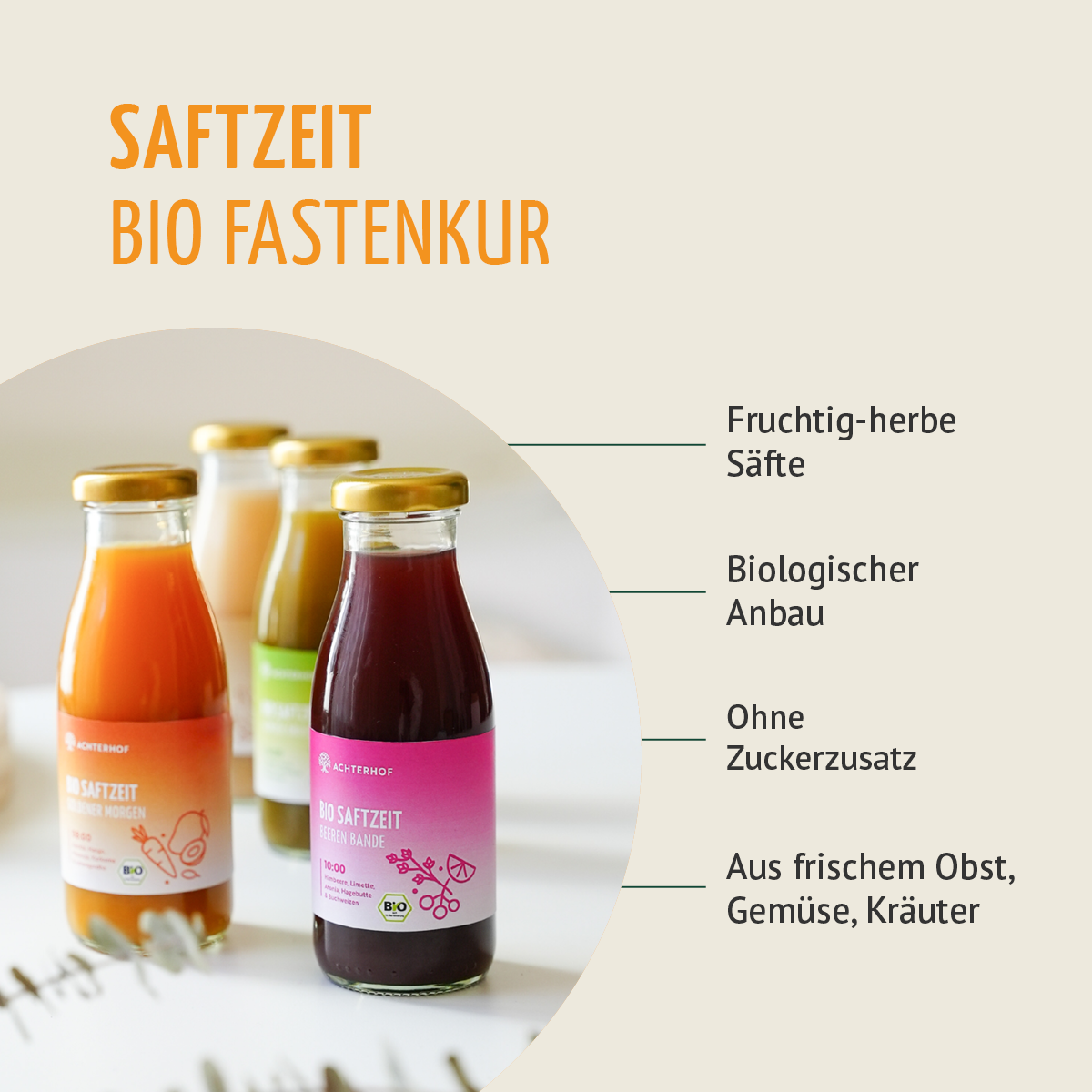 Saftzeit Bio Fastenkur 7 Tage (42 Flaschen)
