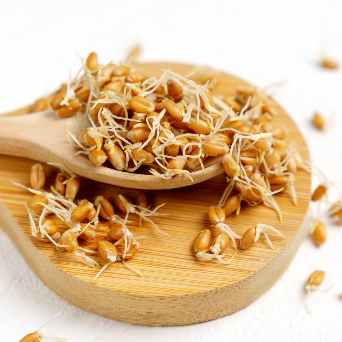 Spermidin aus Weizenkeimen Bio (250g)