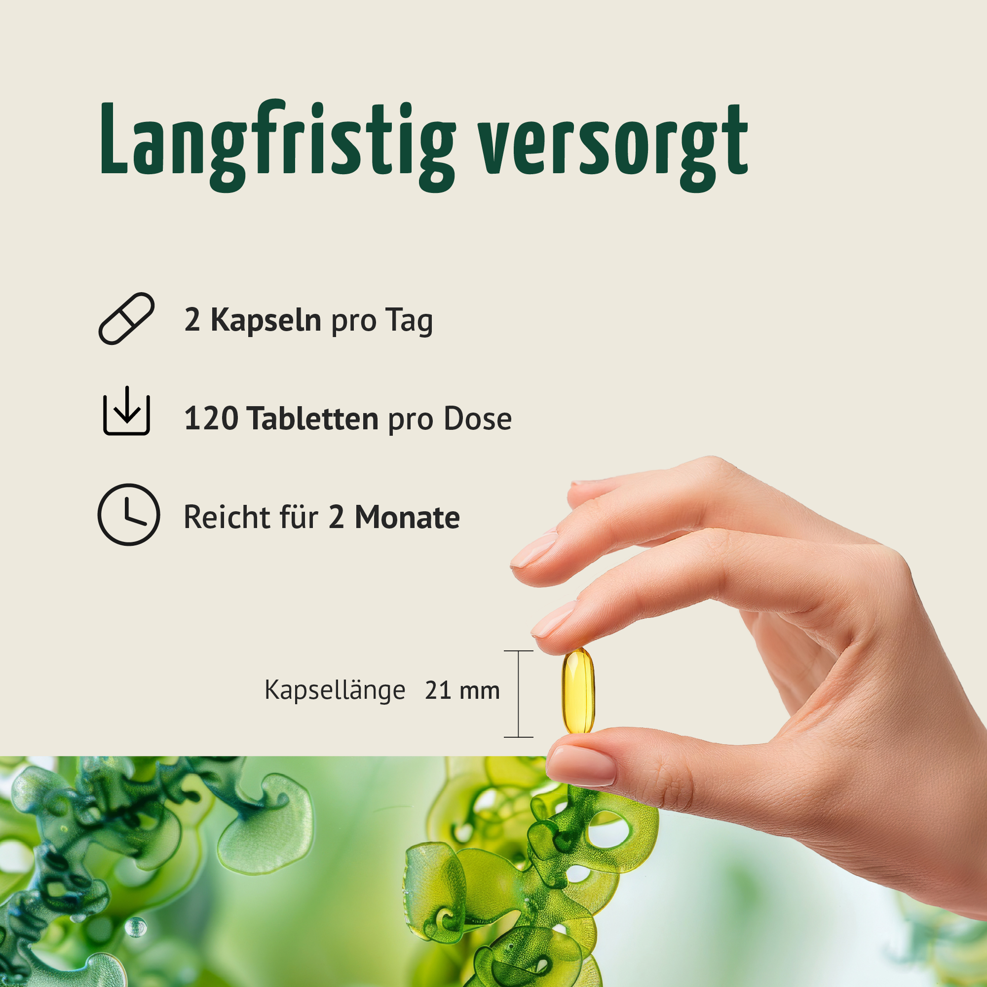 Vegane Omega-3 Kapseln (120 Kapseln)