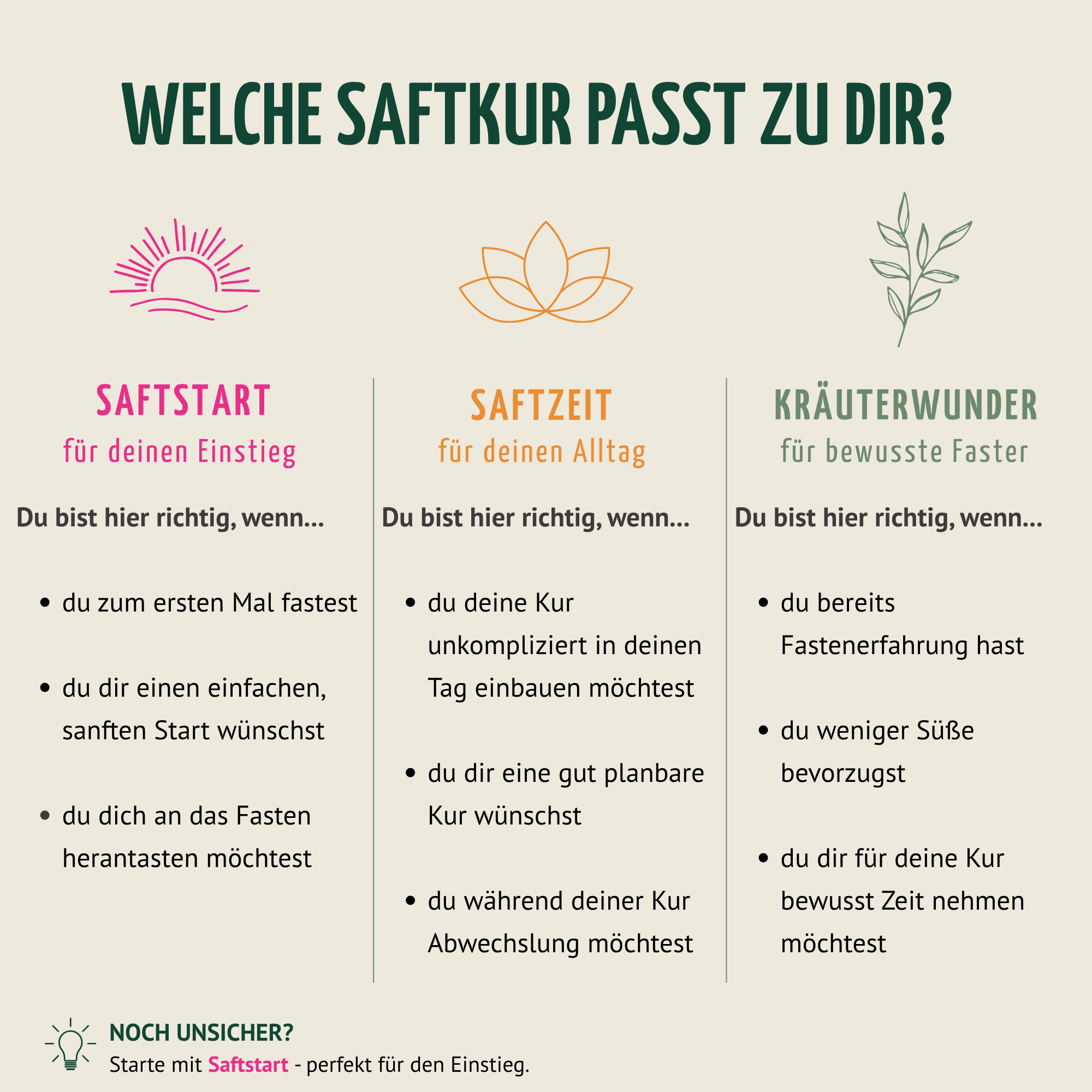 Saftzeit Bio Fastenkur 3 Tage (18 Flaschen)