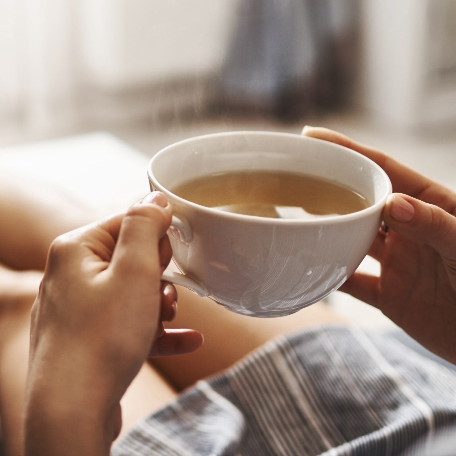 Wermutkraut geschnitten (100g)