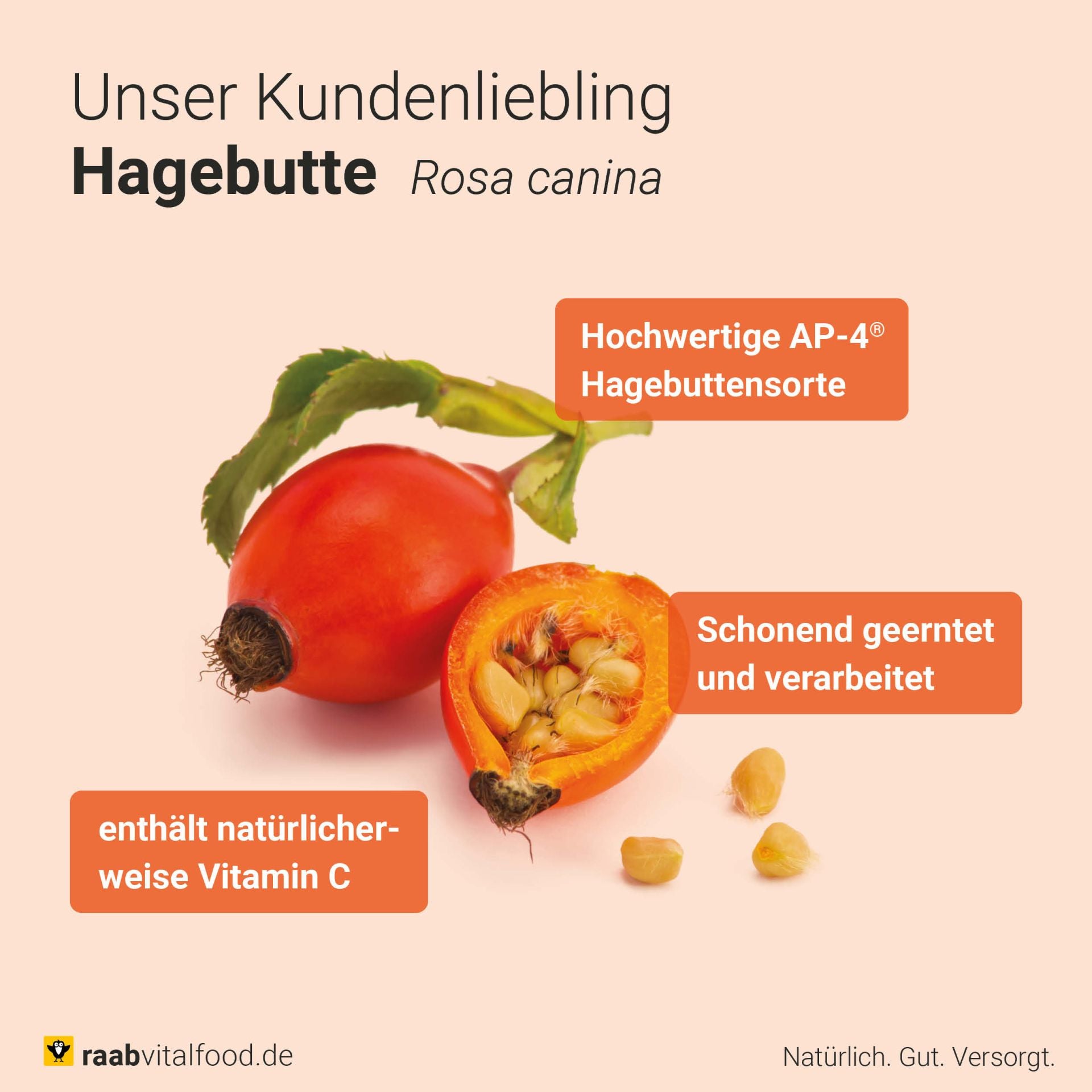 Hagebutte bio (150 Kapseln)