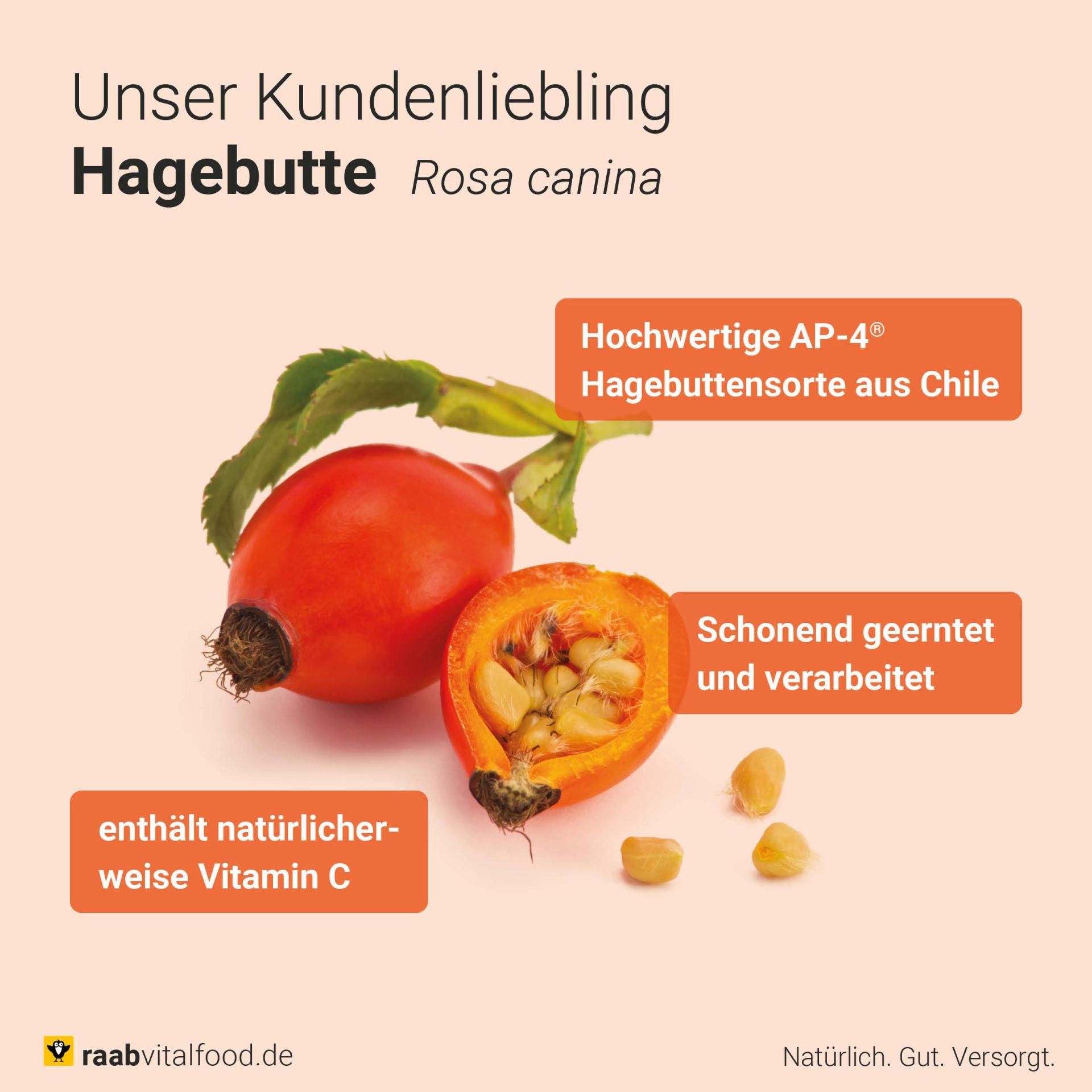 Bio Hagebutten-Pulver (250g)