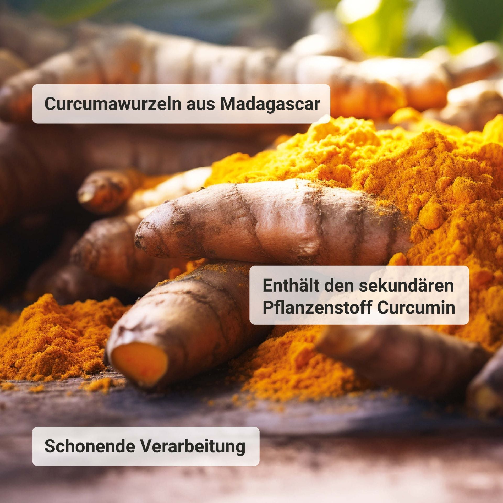 Bio Curcuma (300 Tabletten)