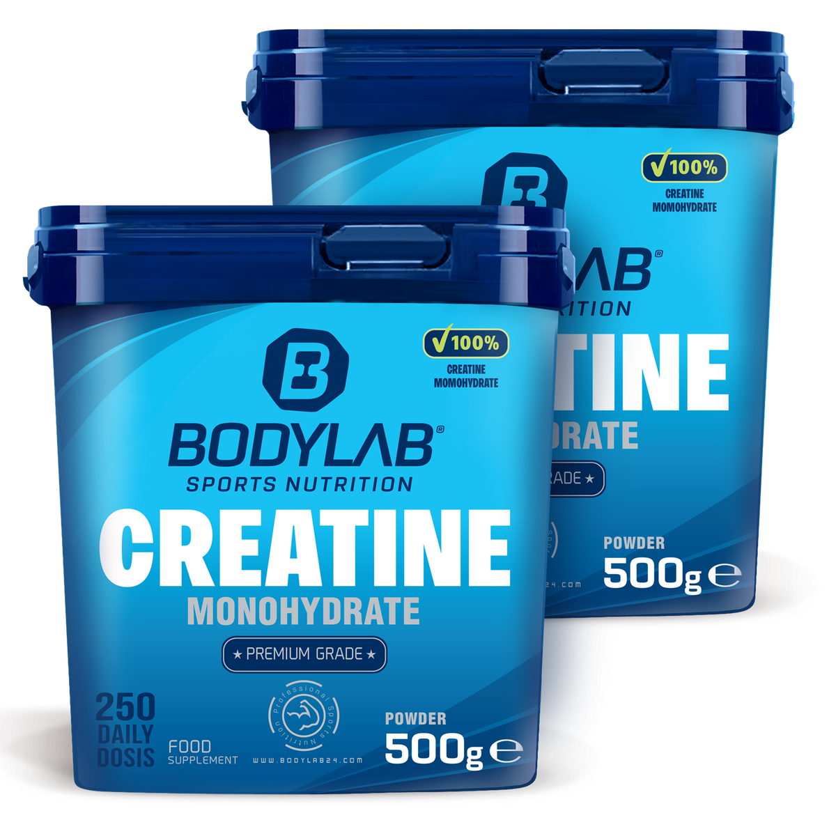 2 x Creatine Powder (500g)