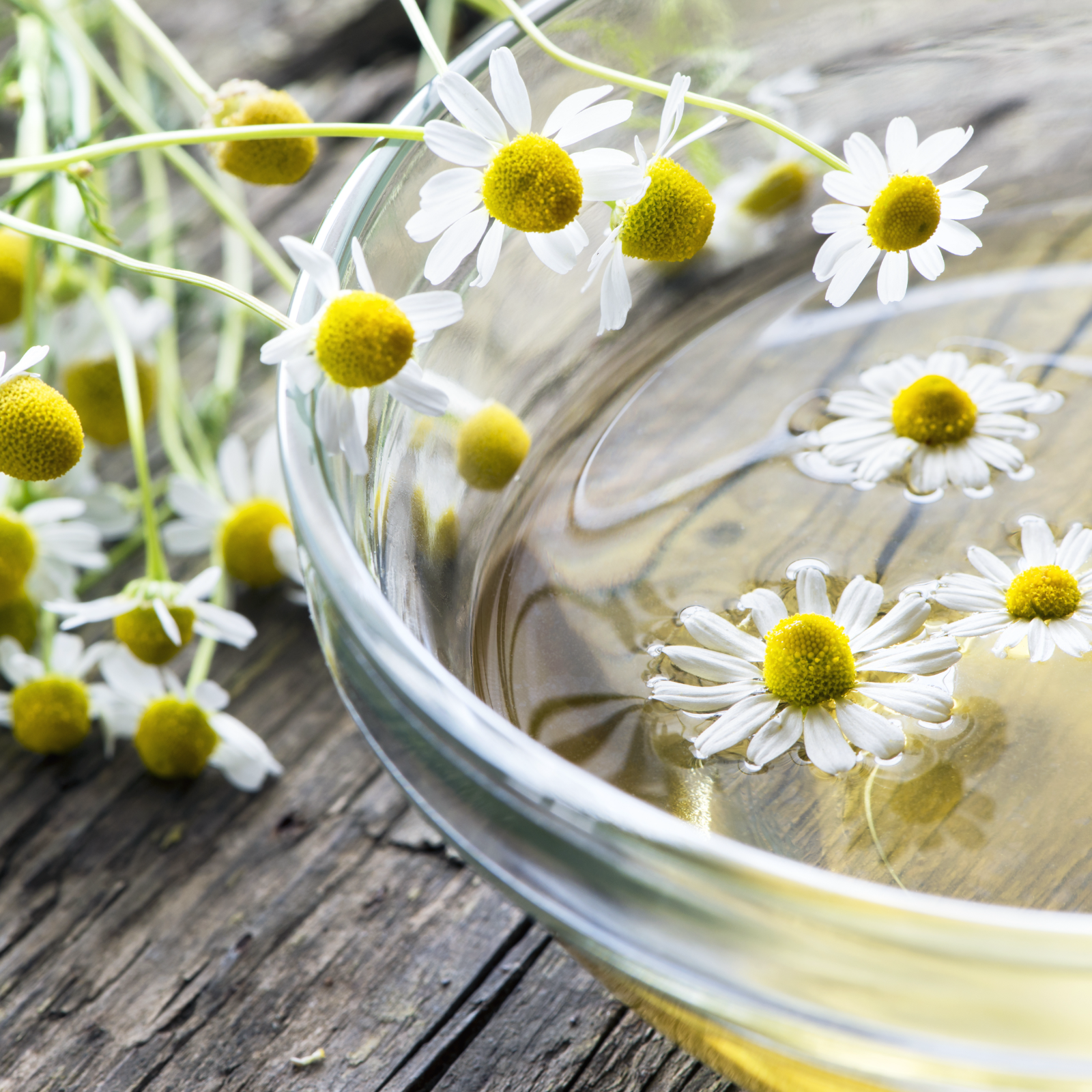 Kamillenblüten ganz Bio (250g)