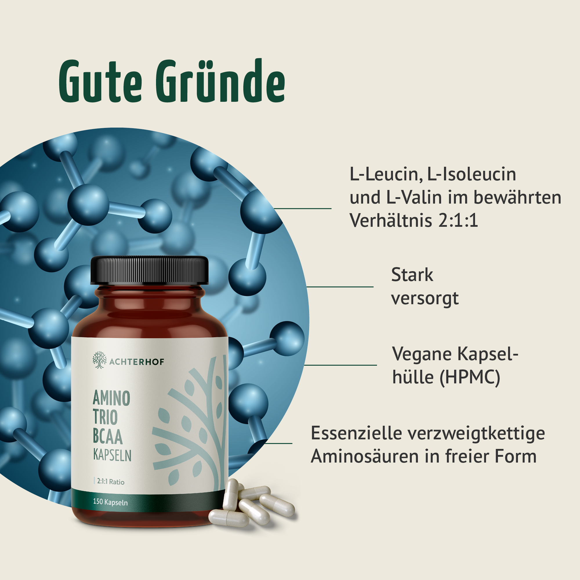 BCAA (120 Kapseln)