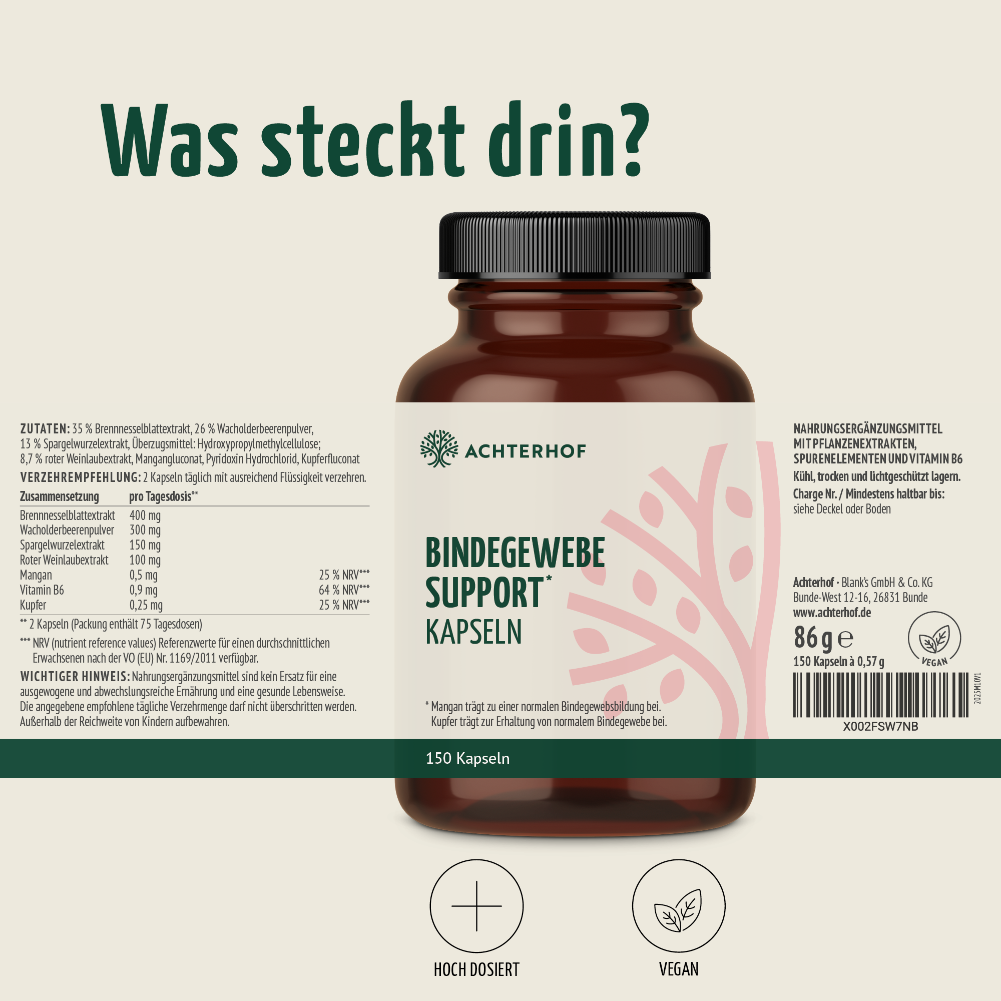 Bindegewebe Support Kapseln (150 Kapseln)