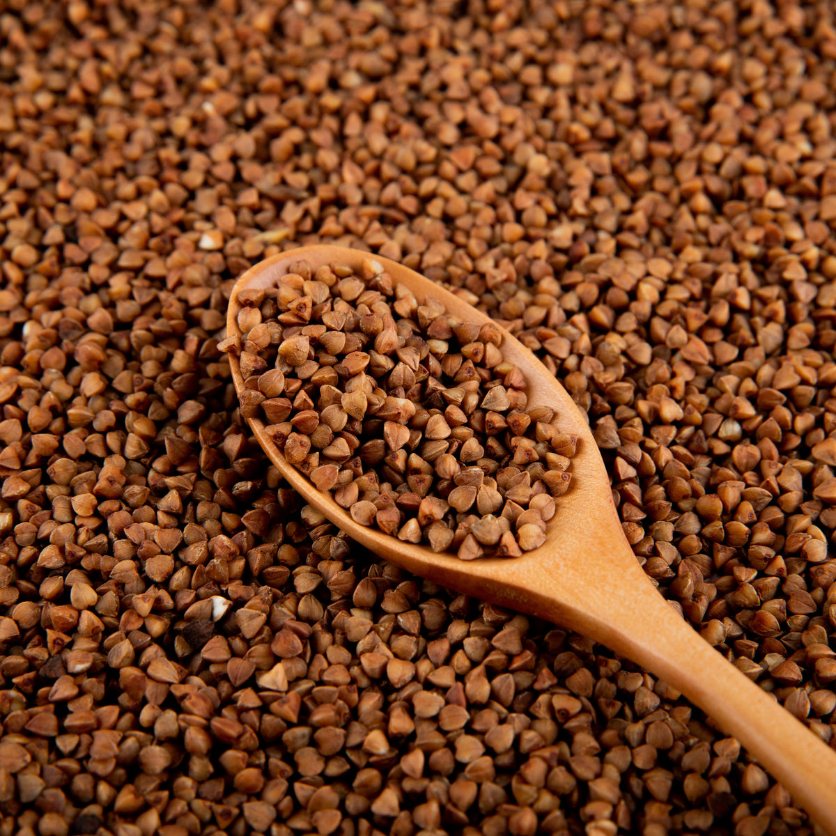 Bio Buchweizengrütze (250g)