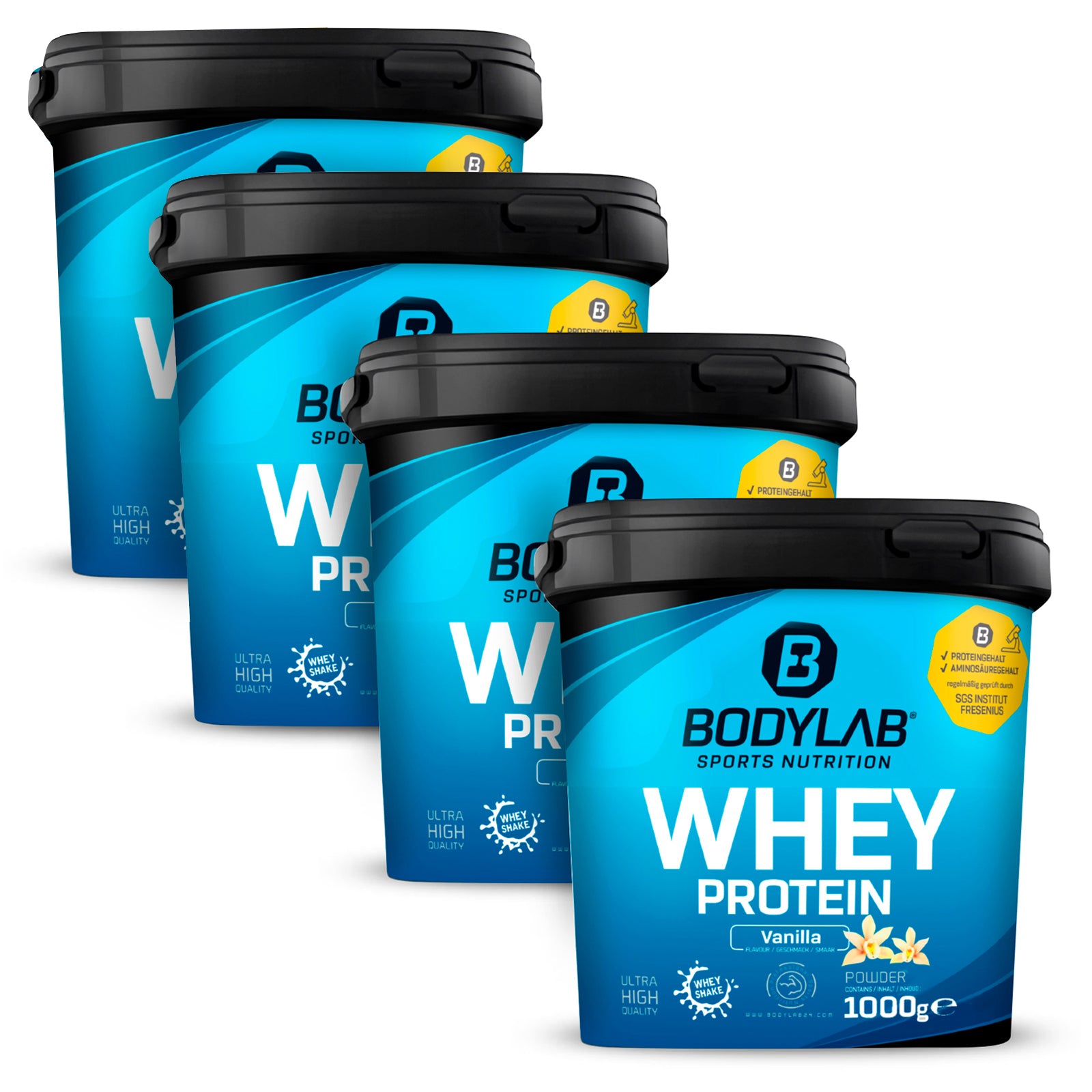 4x Whey Protein (4x1000g)