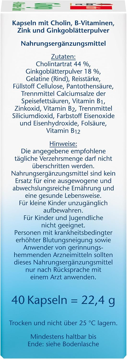 Ginkgo + Vitamin B + Cholin (40 Kapseln)