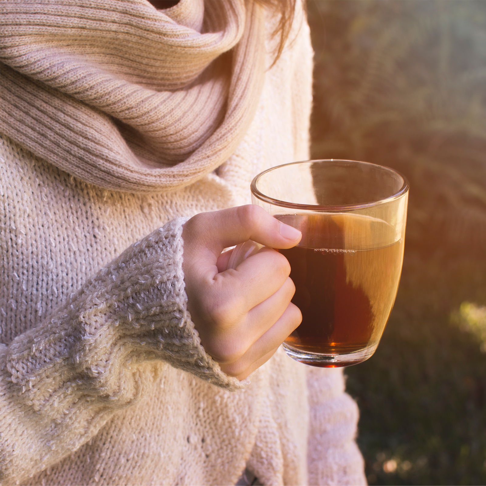 Ehrenpreiskraut geschnitten Bio (250g)