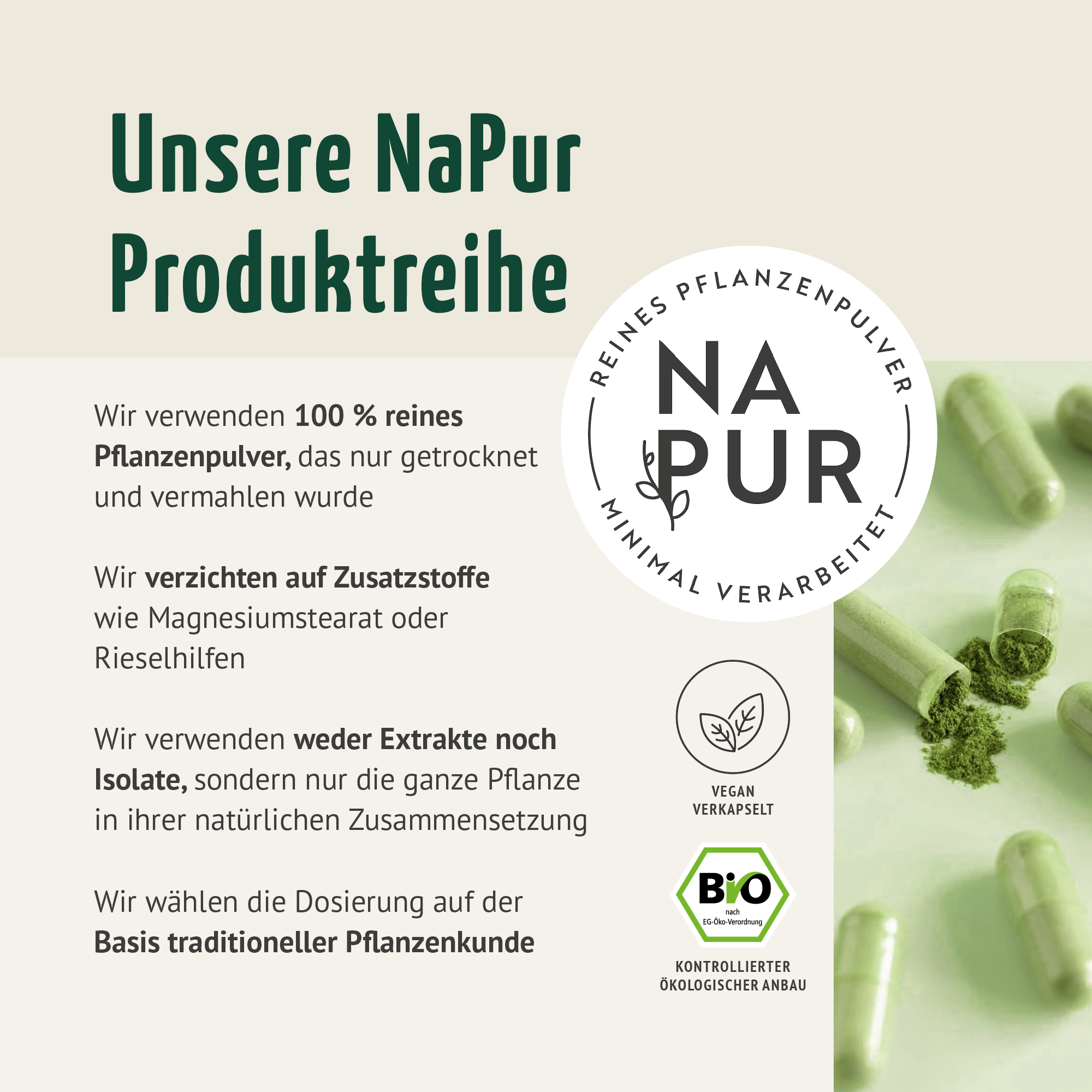 Bio Gerstengras Kapseln Nachfüllpack (400 Kapseln)