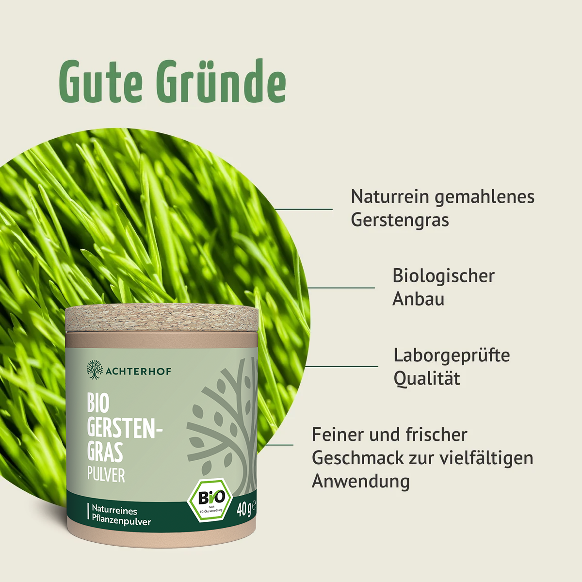 Bio Gerstengras Pulver (40g)